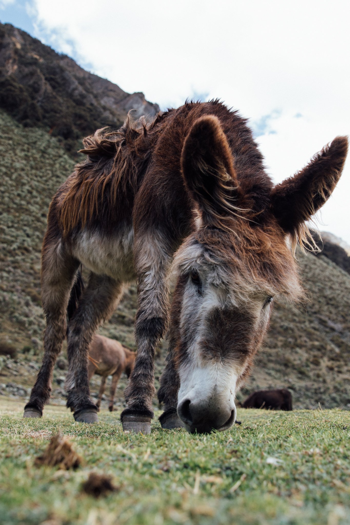 huaraz_peru_2048x_viljamivaisanen.com-7970.jpg