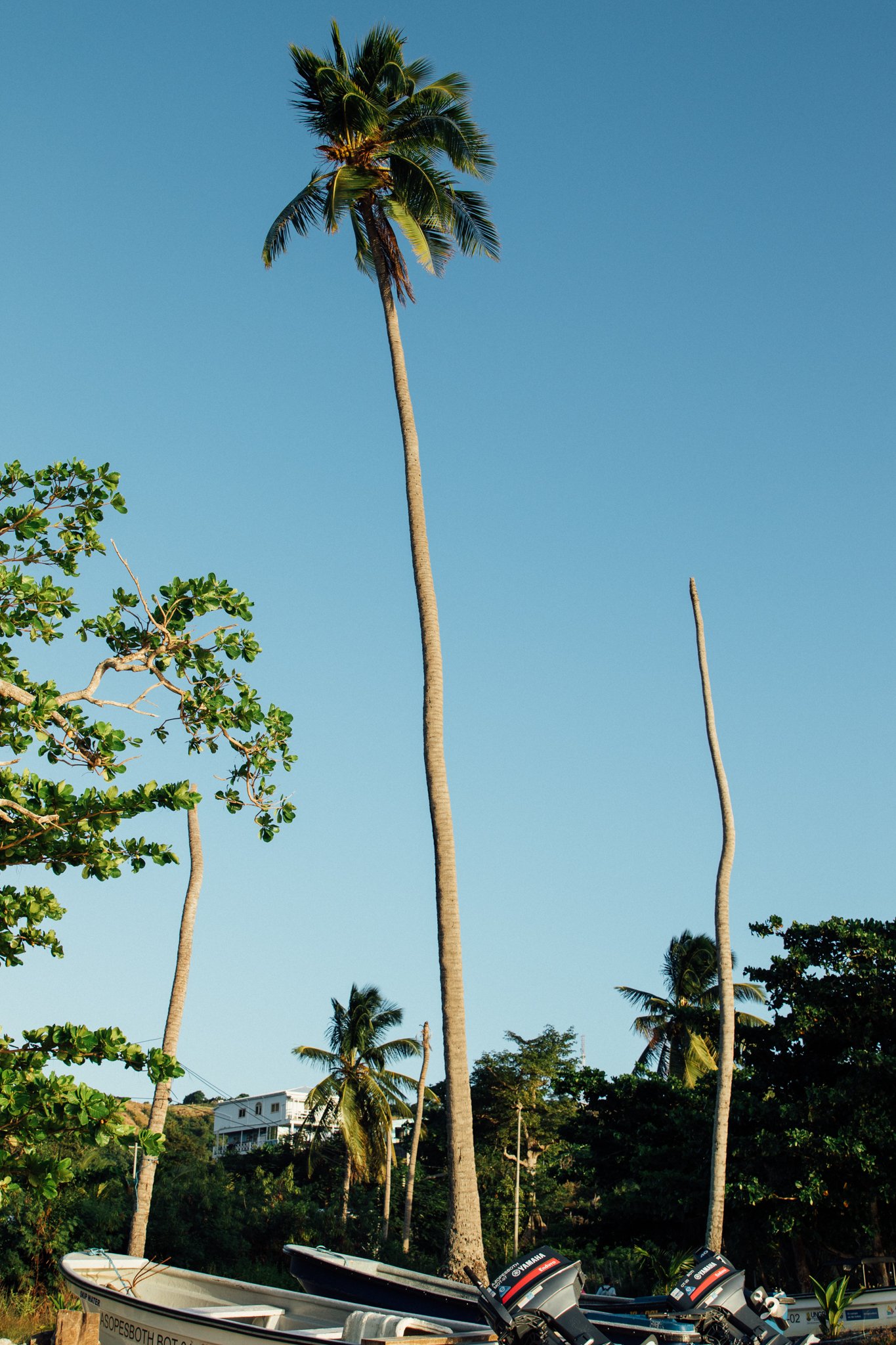 providencia_colombia_2048x_viljamivaisanen.com-1597.jpg