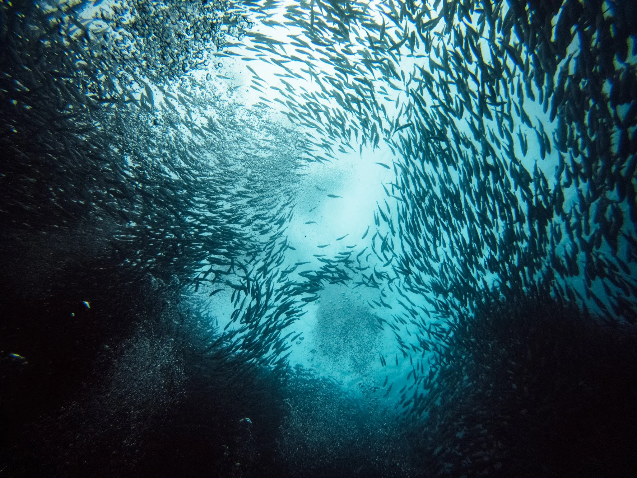 galapagos_ecuador_gopro_2048x_viljamivaisanen.com-4316.jpg