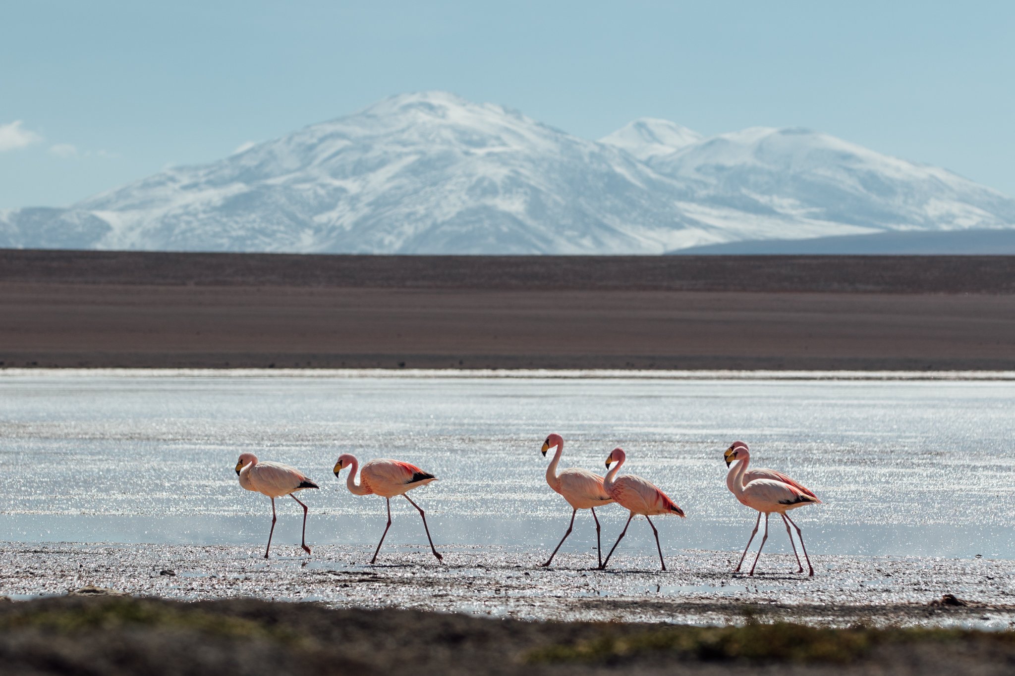 salardeuyuni_bolivia_2048x_viljamivaisanen.com-0745.jpg