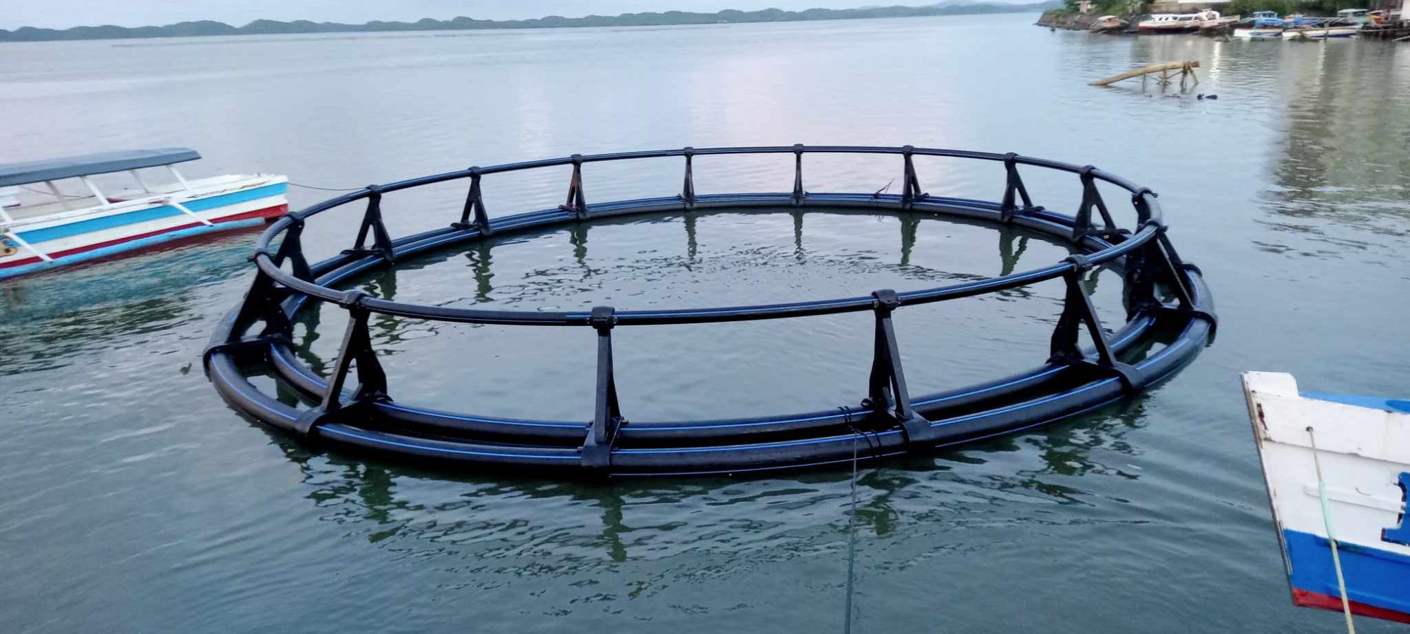 Segemented Fish Cage.jpeg