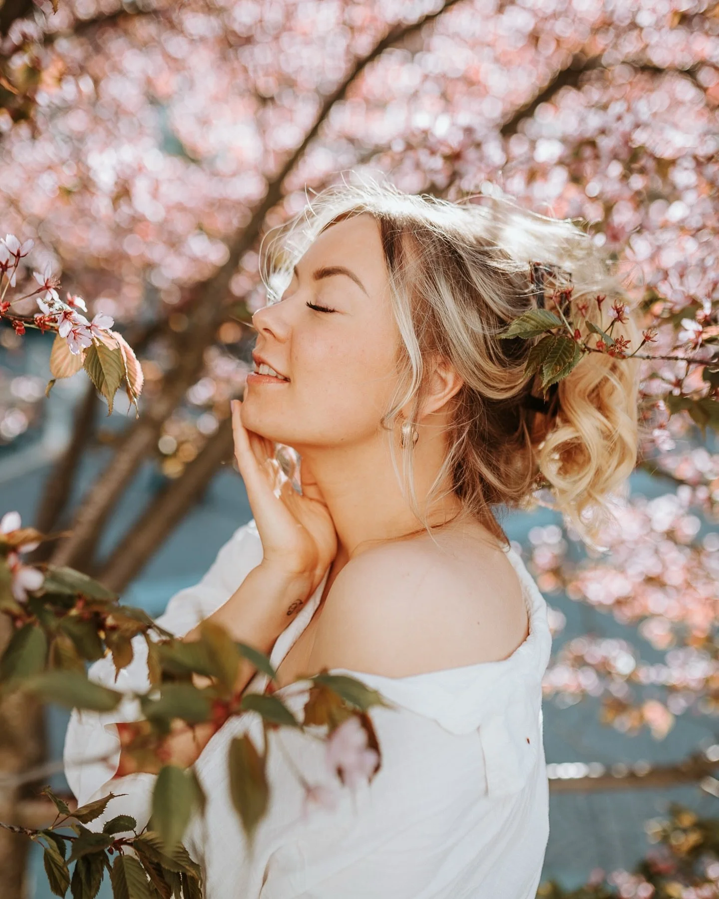 🌸Kohta on taas kirsikankukkien aika🌸

N&auml;&auml; kuvat on otettu viime kev&auml;&auml;n&auml; toukokuun puoliv&auml;liss&auml;, kun Frenckelin kirsikkapuut loistivat vaaleanpunaisessa juhla-asussaan ja kev&auml;t oli just puhkeamassa t&auml;ytee