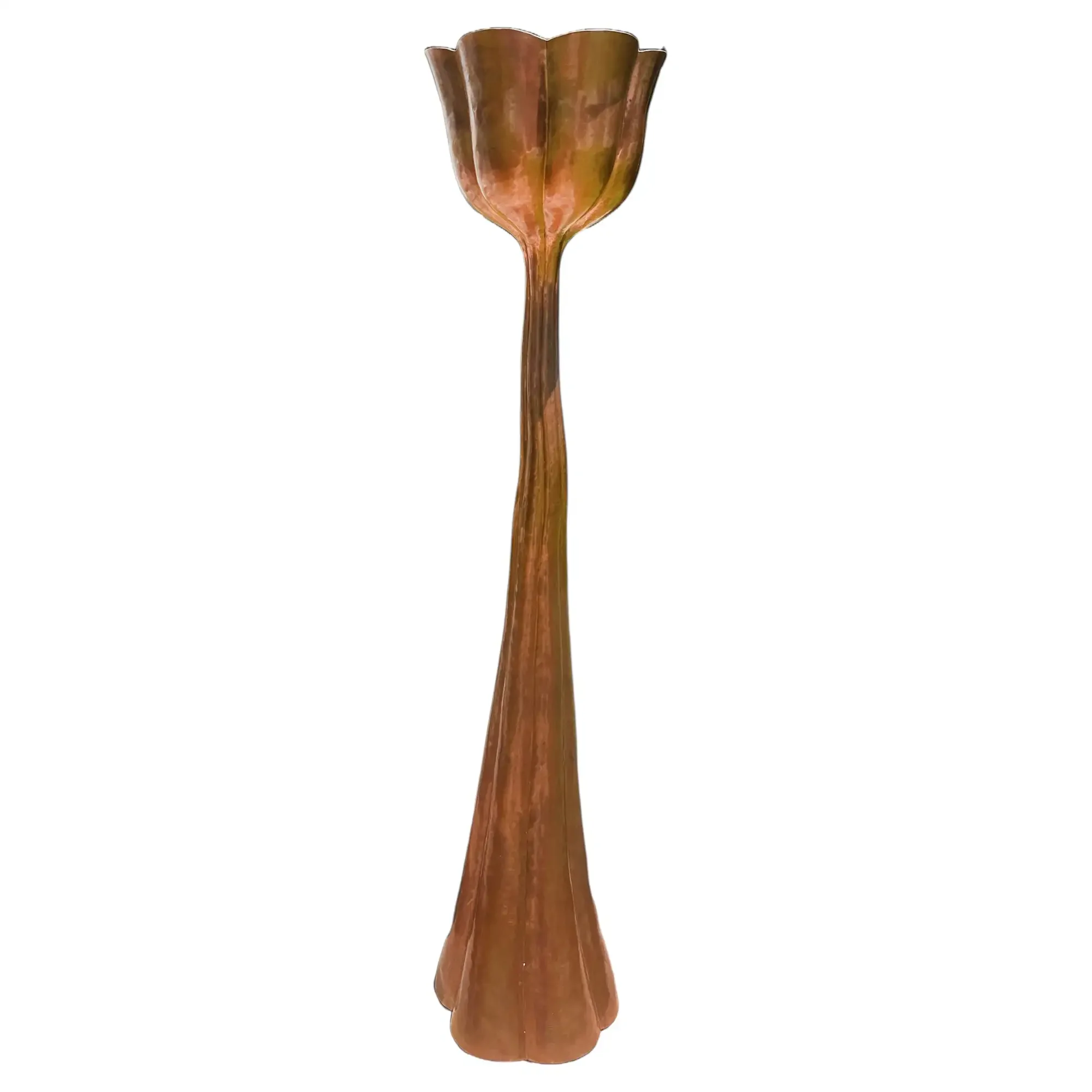 1_bg_processed.webp