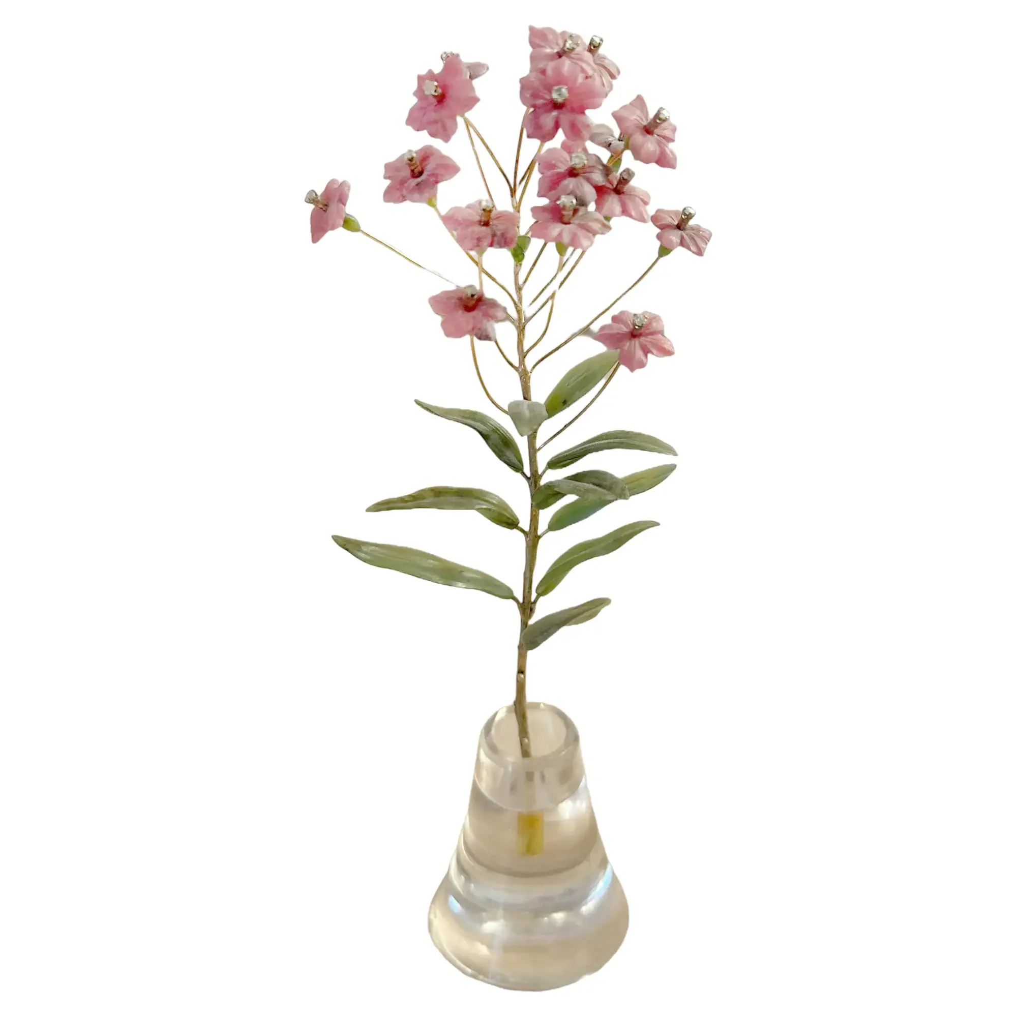 1_bg_processed.webp