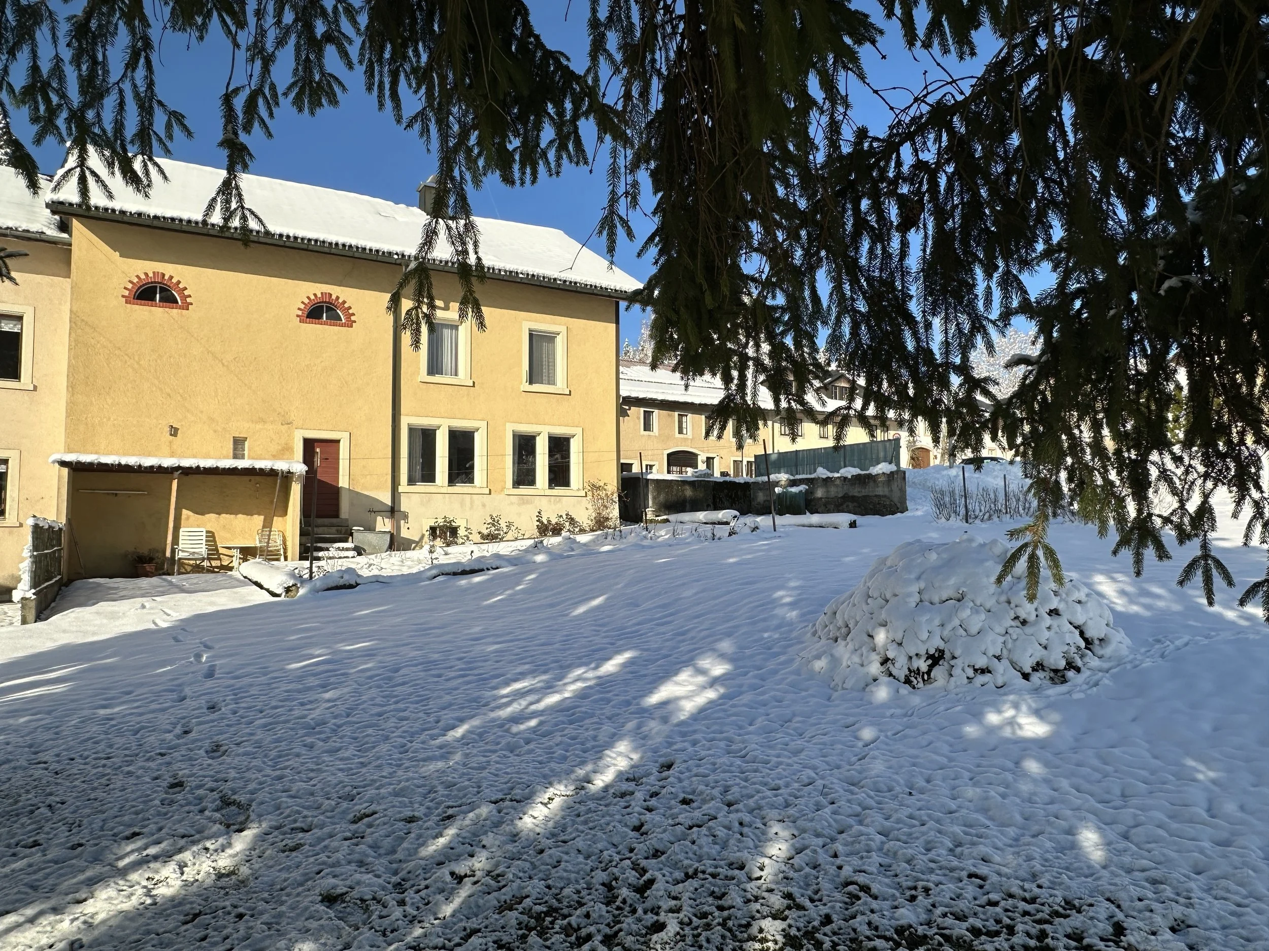 IMG_4899.jpg