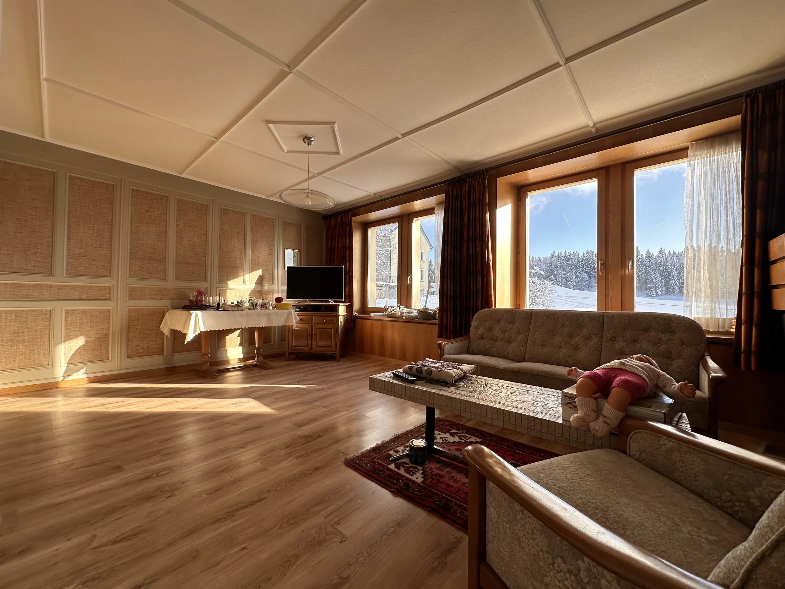 Maison mitoyenne avec beau dégagement - Le Séchey