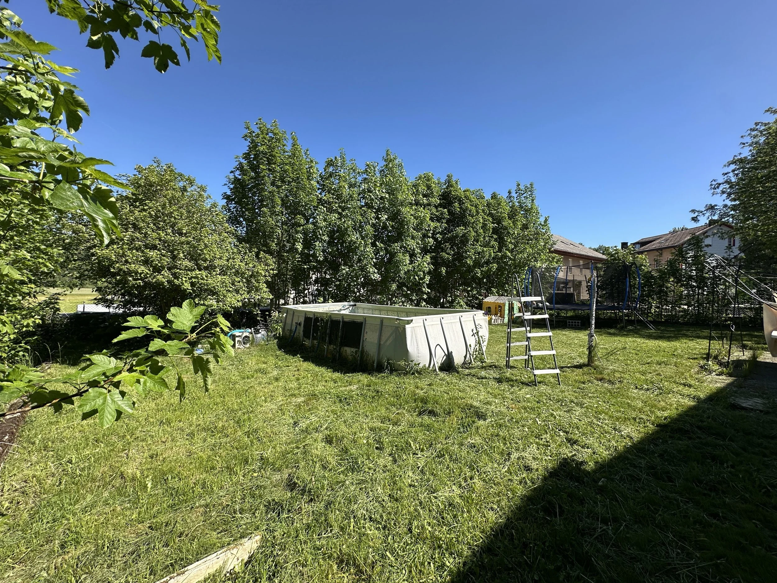 IMG_7749.JPEG