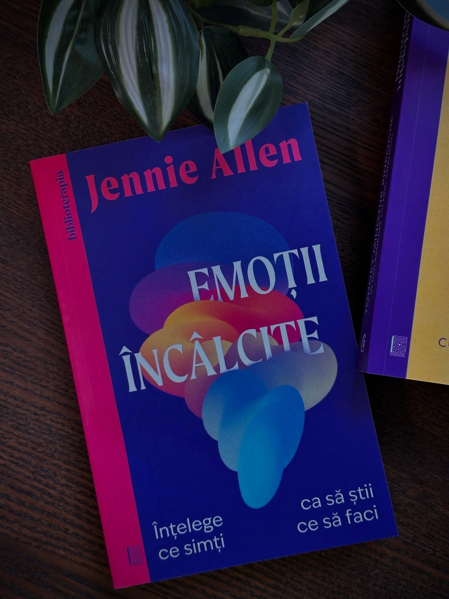 Înțelege ceea ce simți