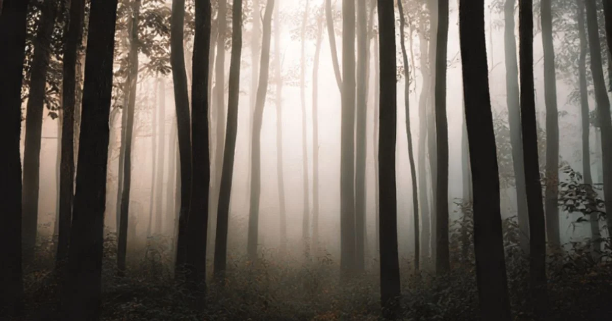 Paralizia decizională