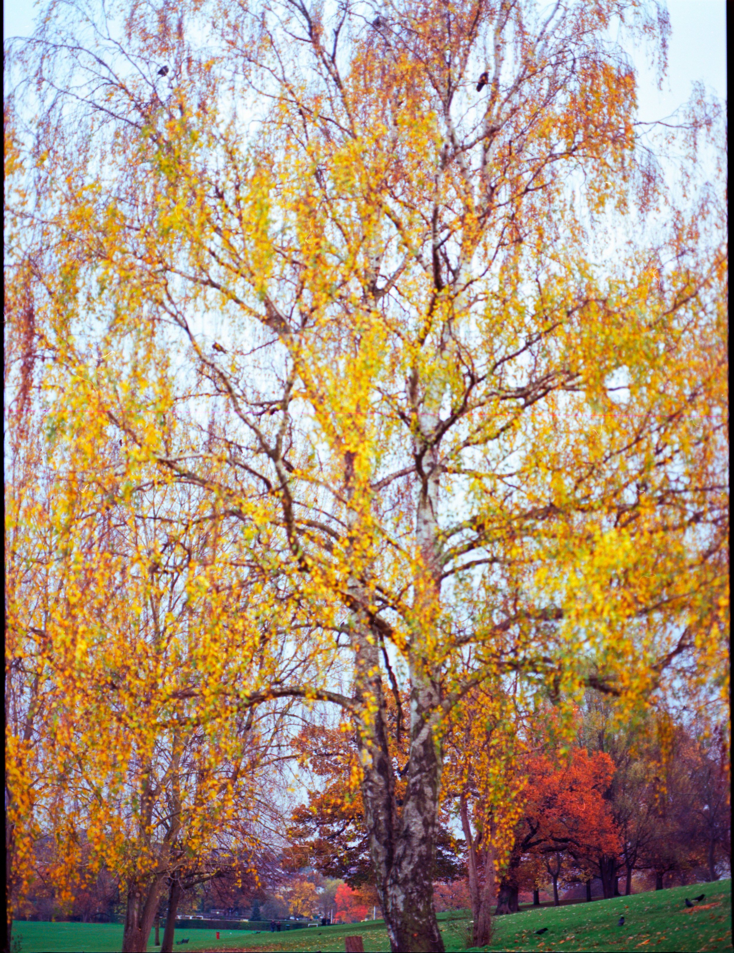 landscape-22.jpg