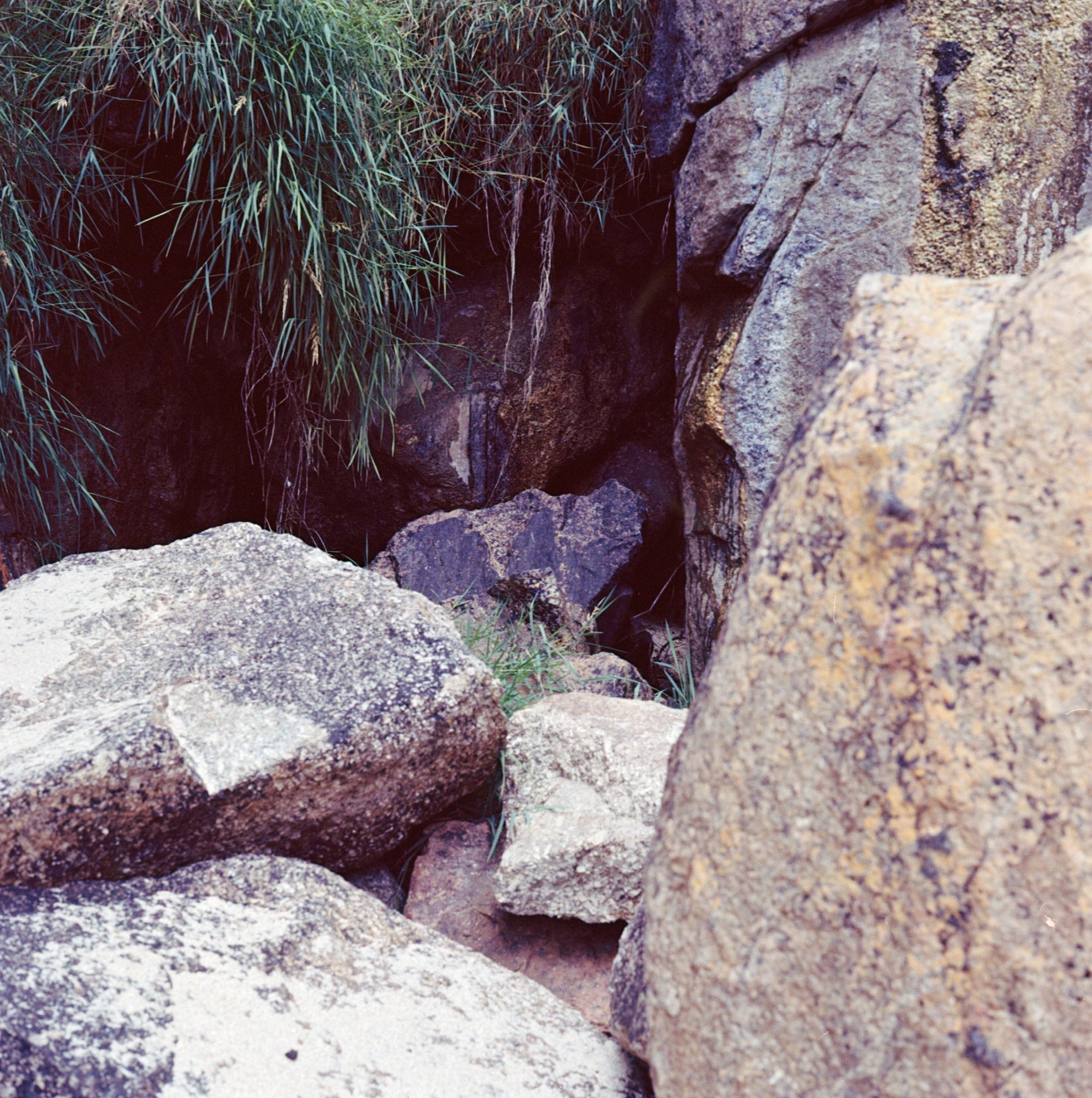 landscape-2.jpg