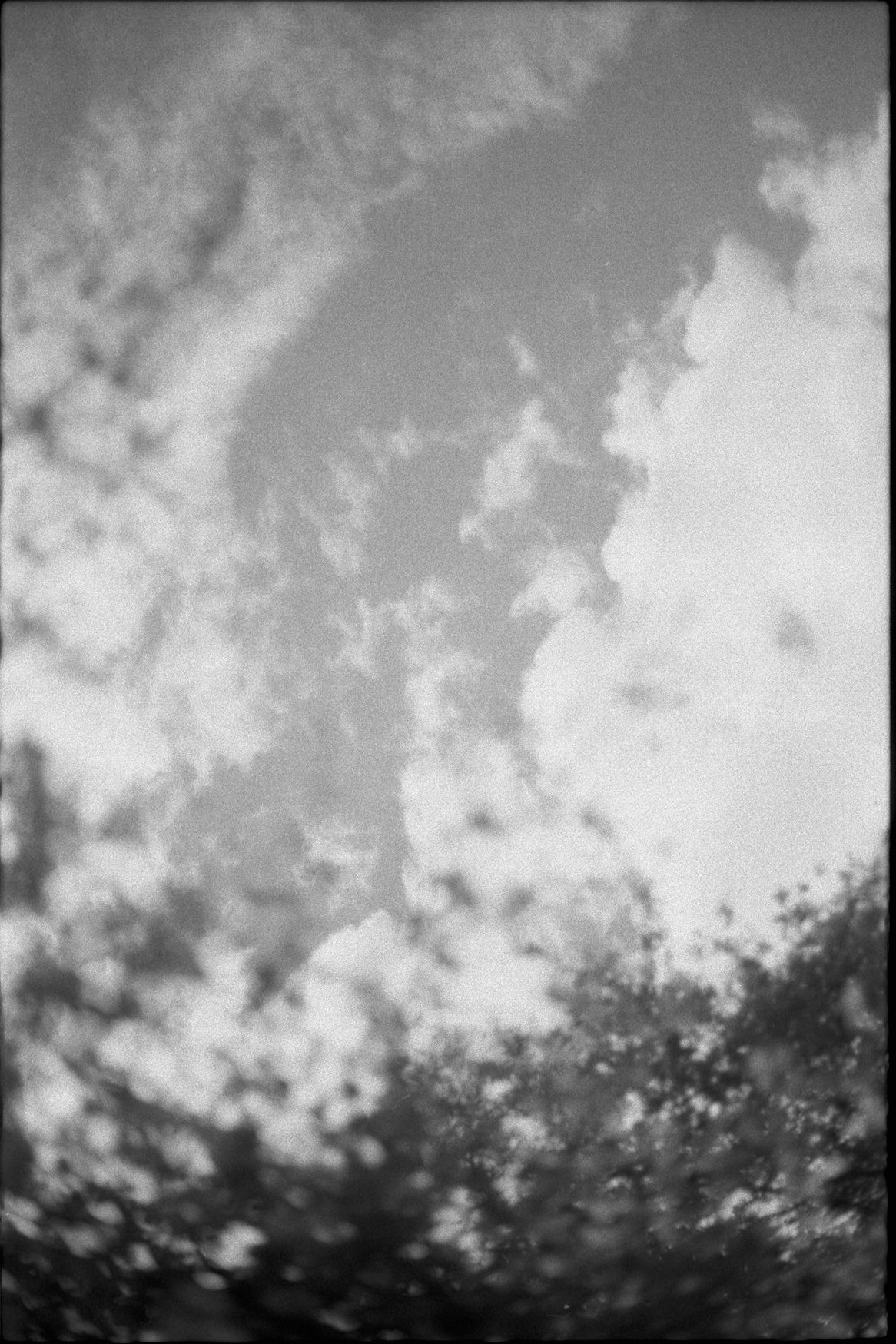 sardinia sky cr.jpg