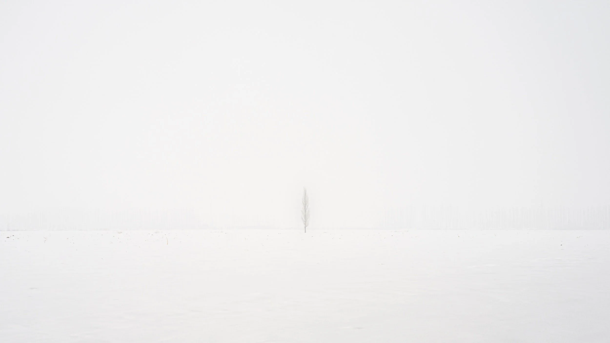 unsplash-image-KecgLyKCosA.jpg