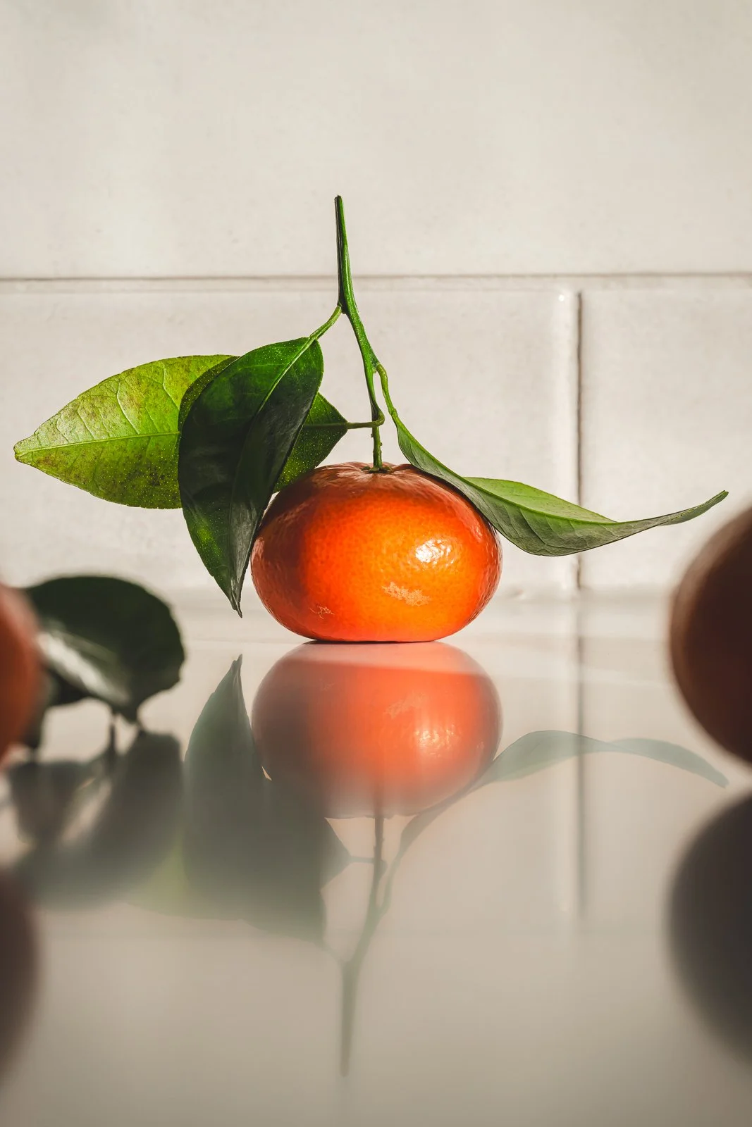 Clementine, close up.jpg