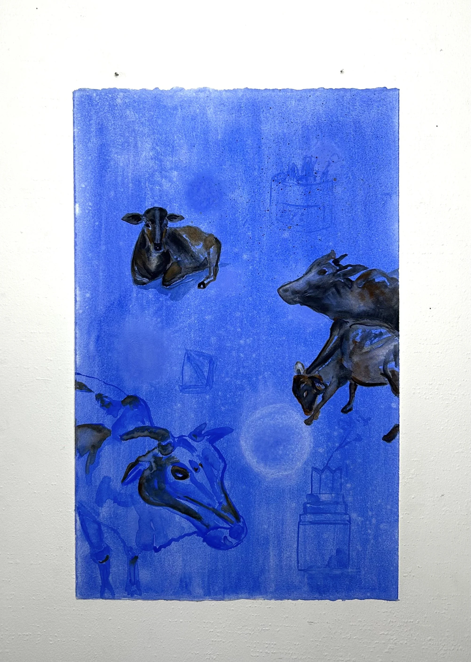 Les Vaches, 2024, Watercolours on paper,
57 x 36 cm
