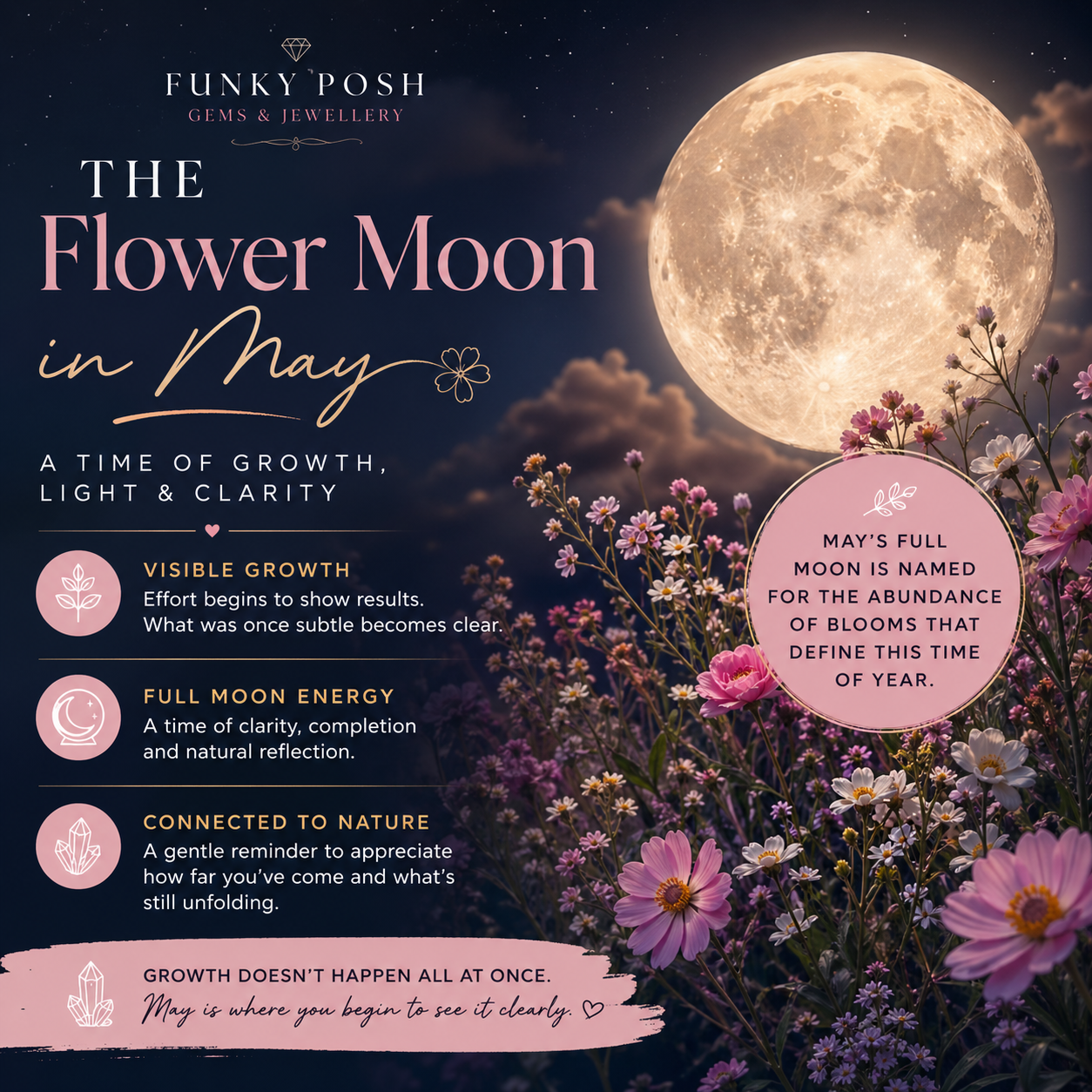 The Flower Moon in May: A Moment of Growth, Light, and Clarity