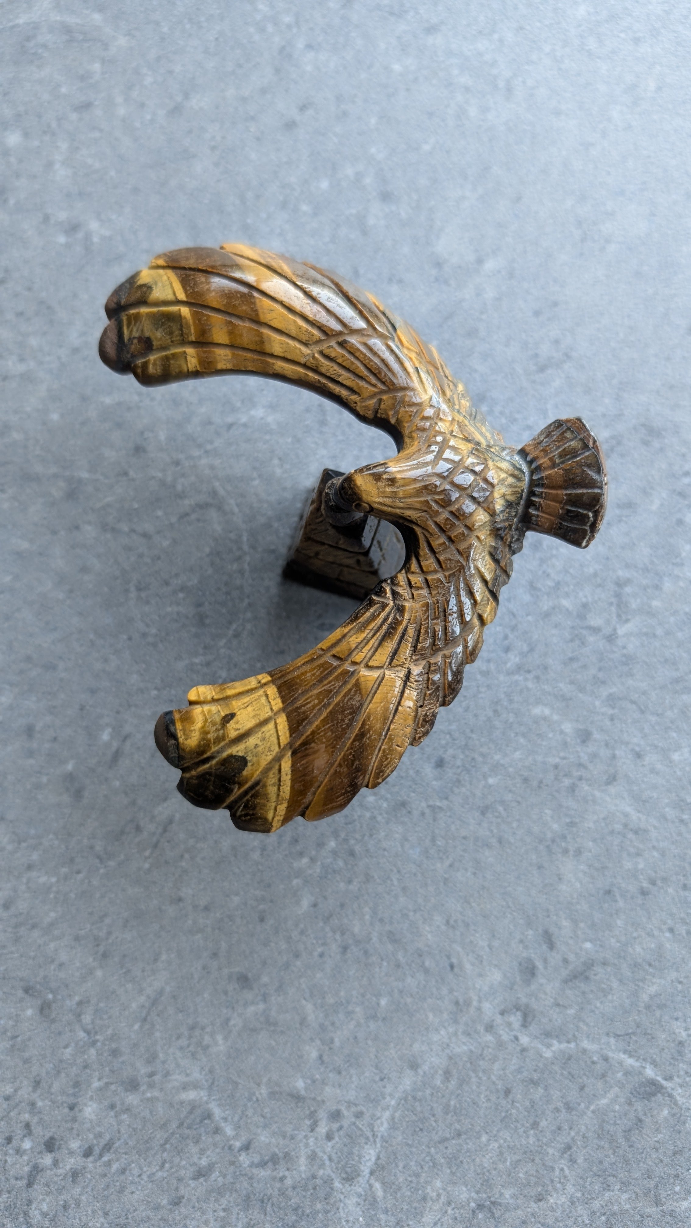 Tigers Eye Flying Eagle