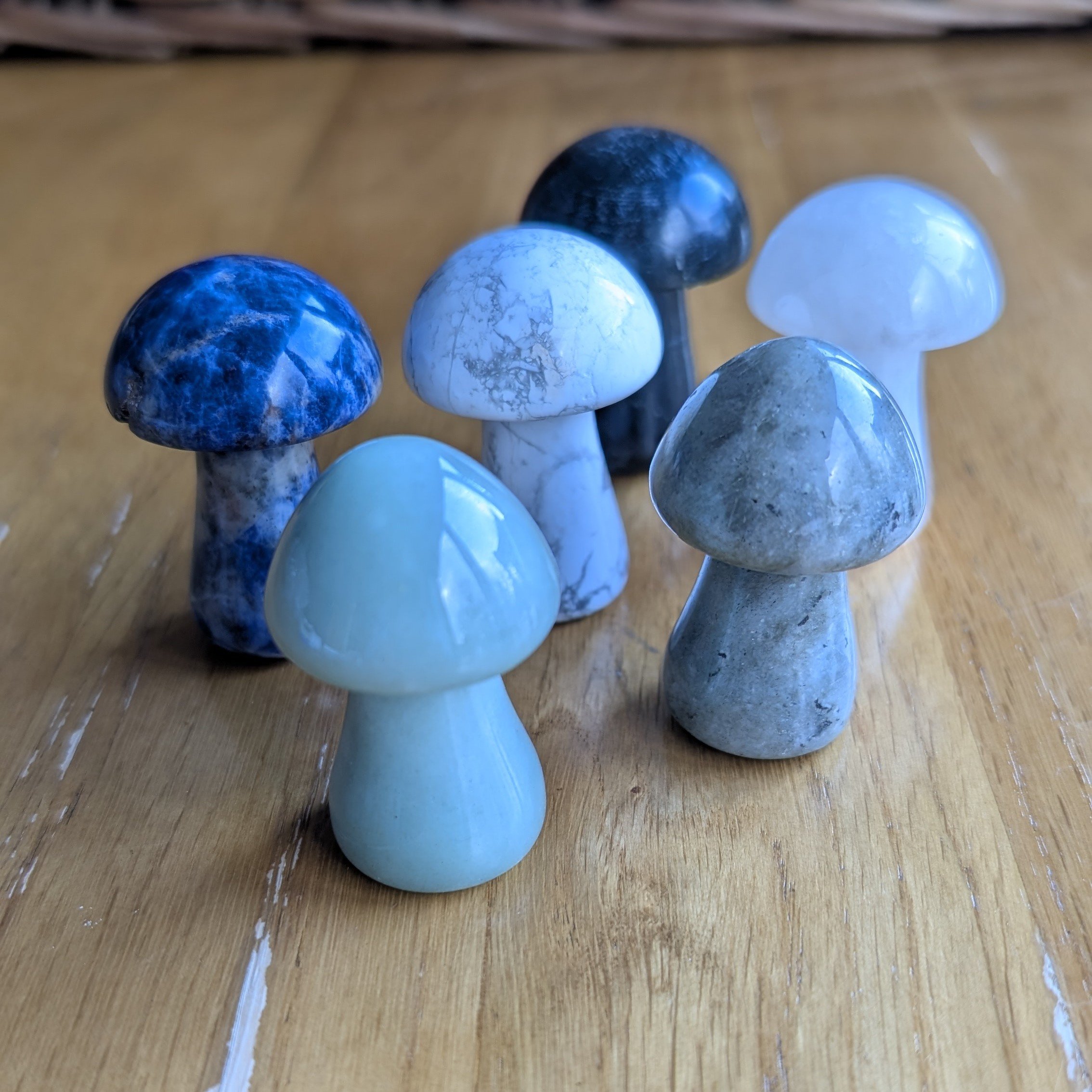 Large Gemstone Mushrooms