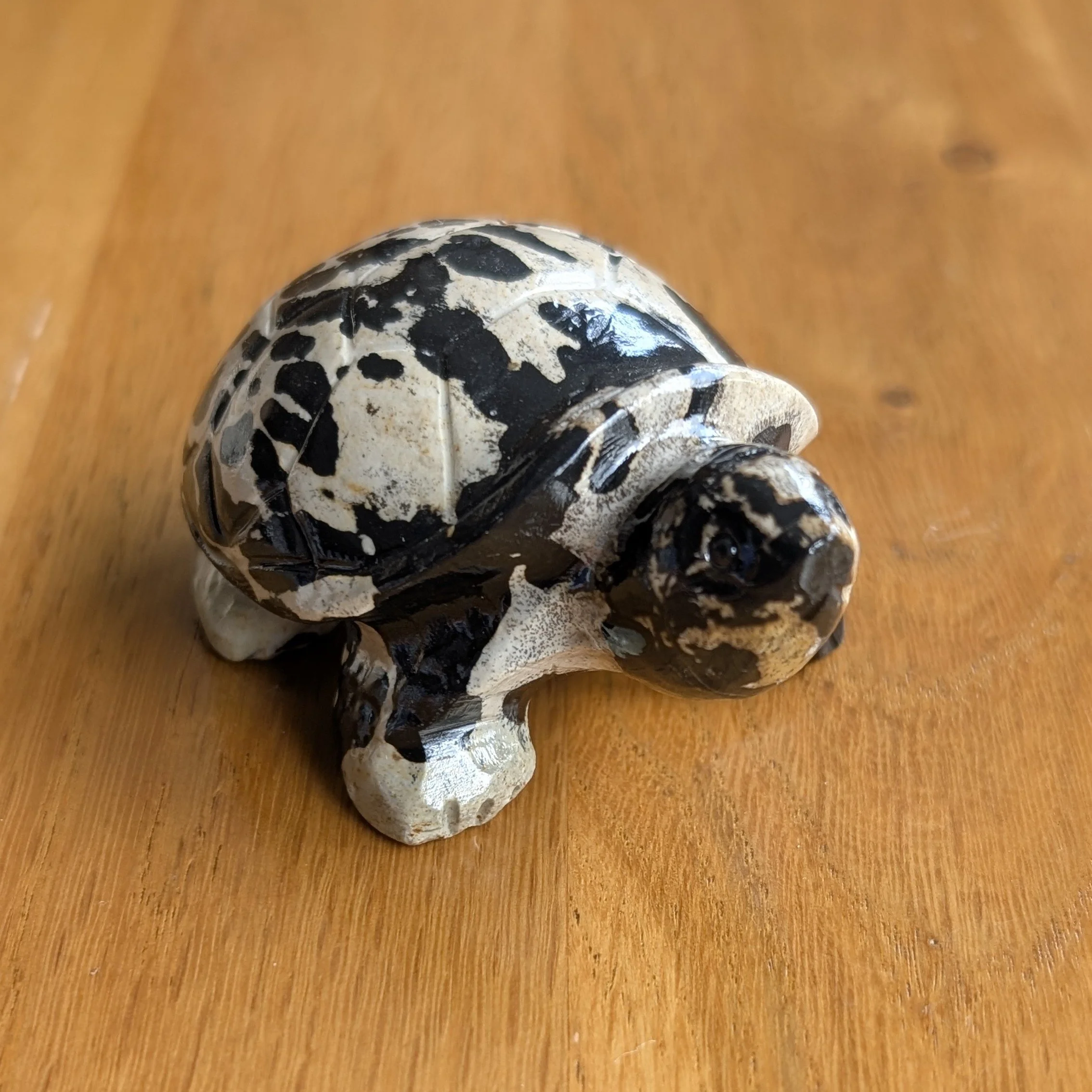 Picture Stone Tortoise
