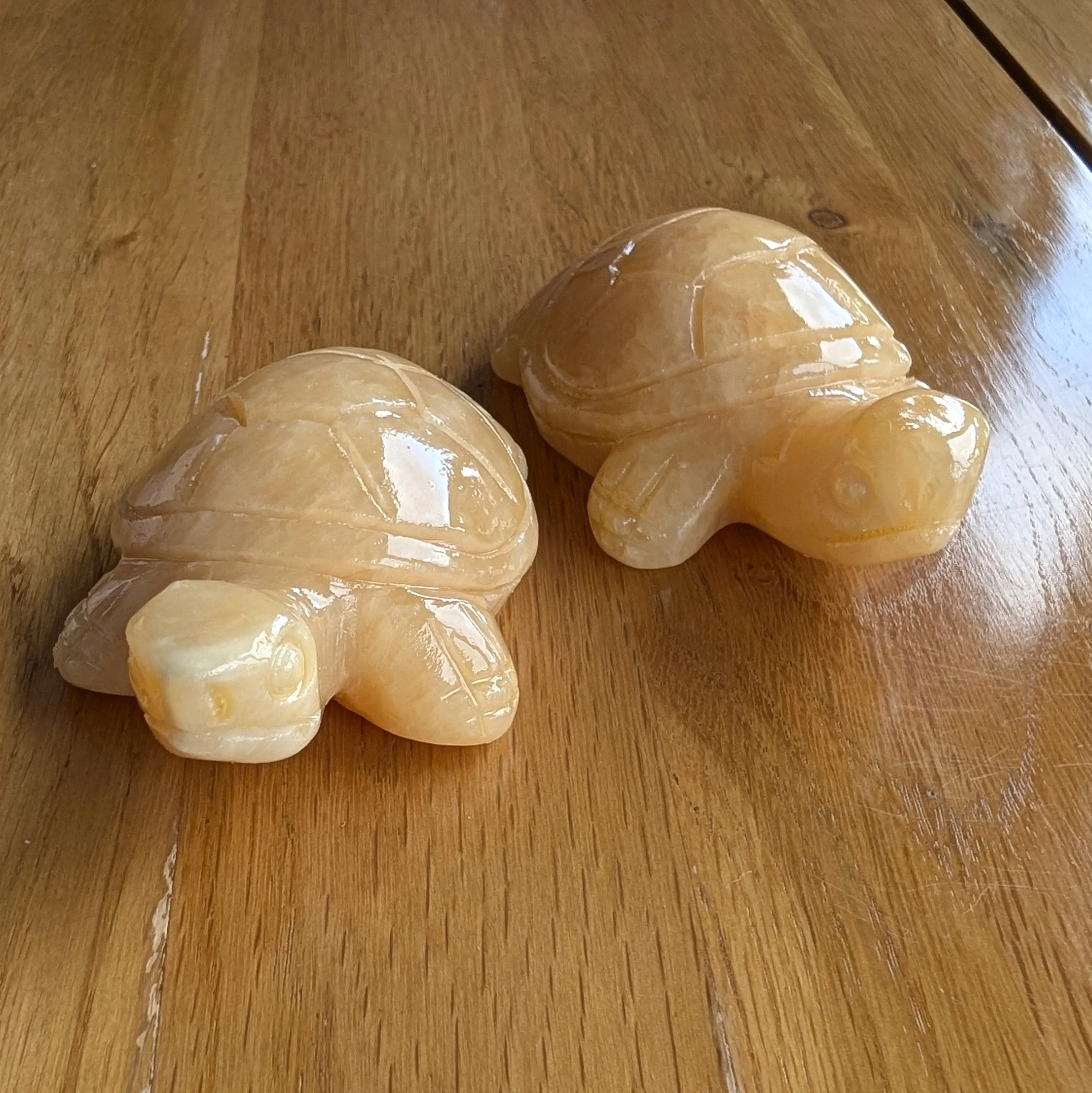 Orange Calcite Turtles