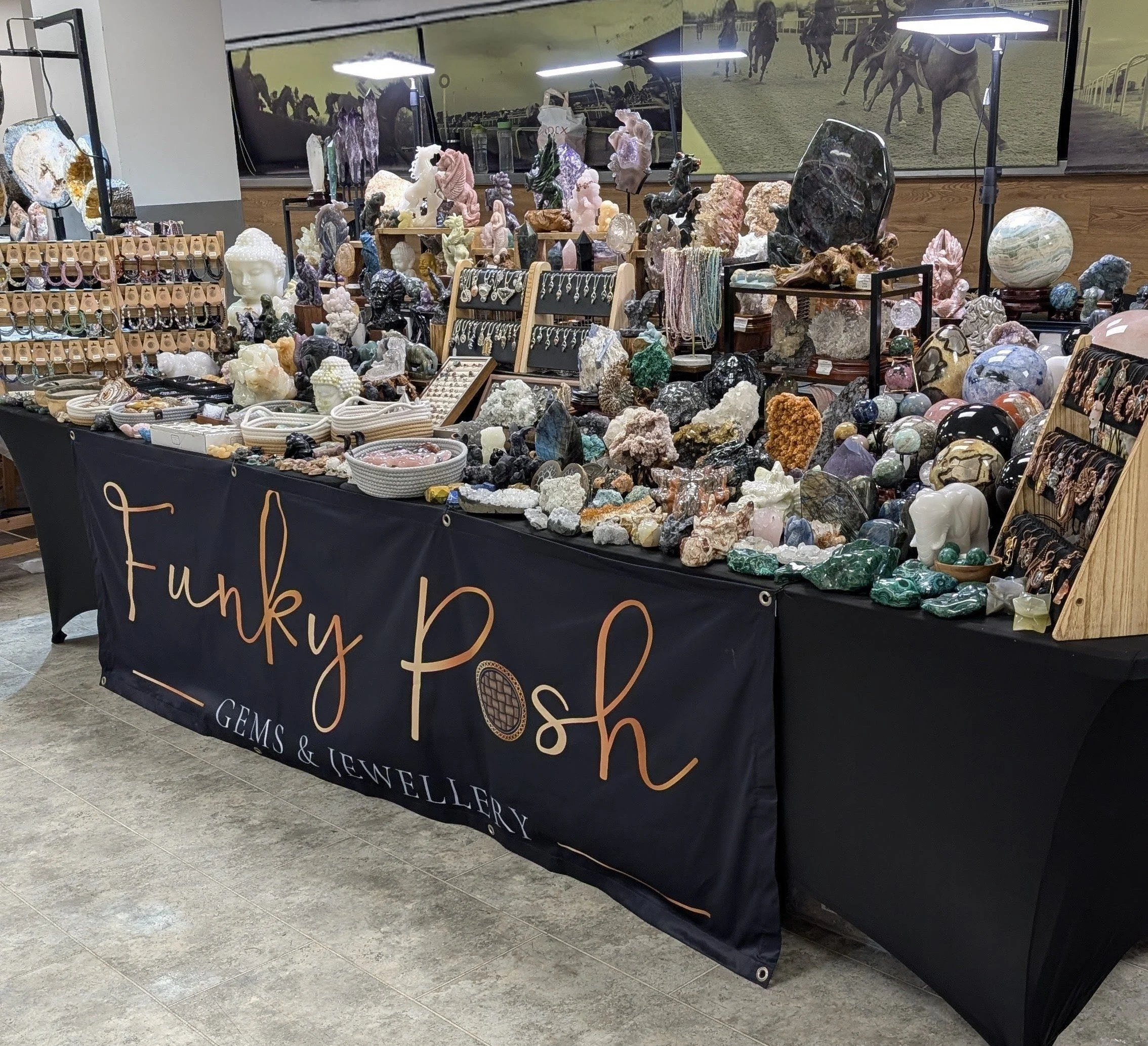 A display table at a jewelry and gemstone booth labeled 'Funky Posh GEMS & JEWELLERY' features various rocks, minerals, and gemstone jewelry, including necklaces, rings, and decorative pieces, with a backdrop of a horse race scene.