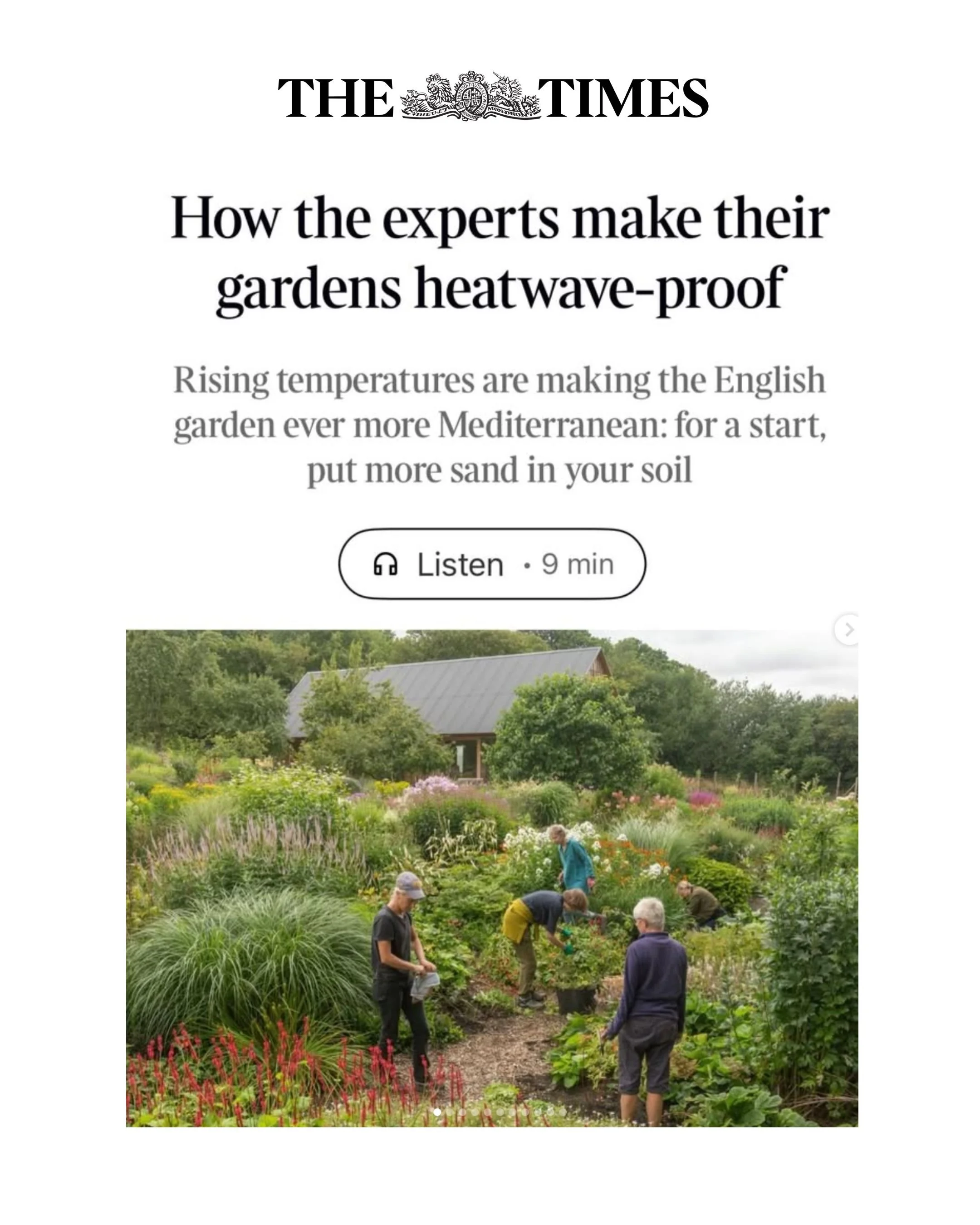 The Times - 'How the experts make their gardens heatwave-proof'