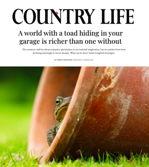 Country Life: 'A world with a toad hiding in your garage is richer than one without'