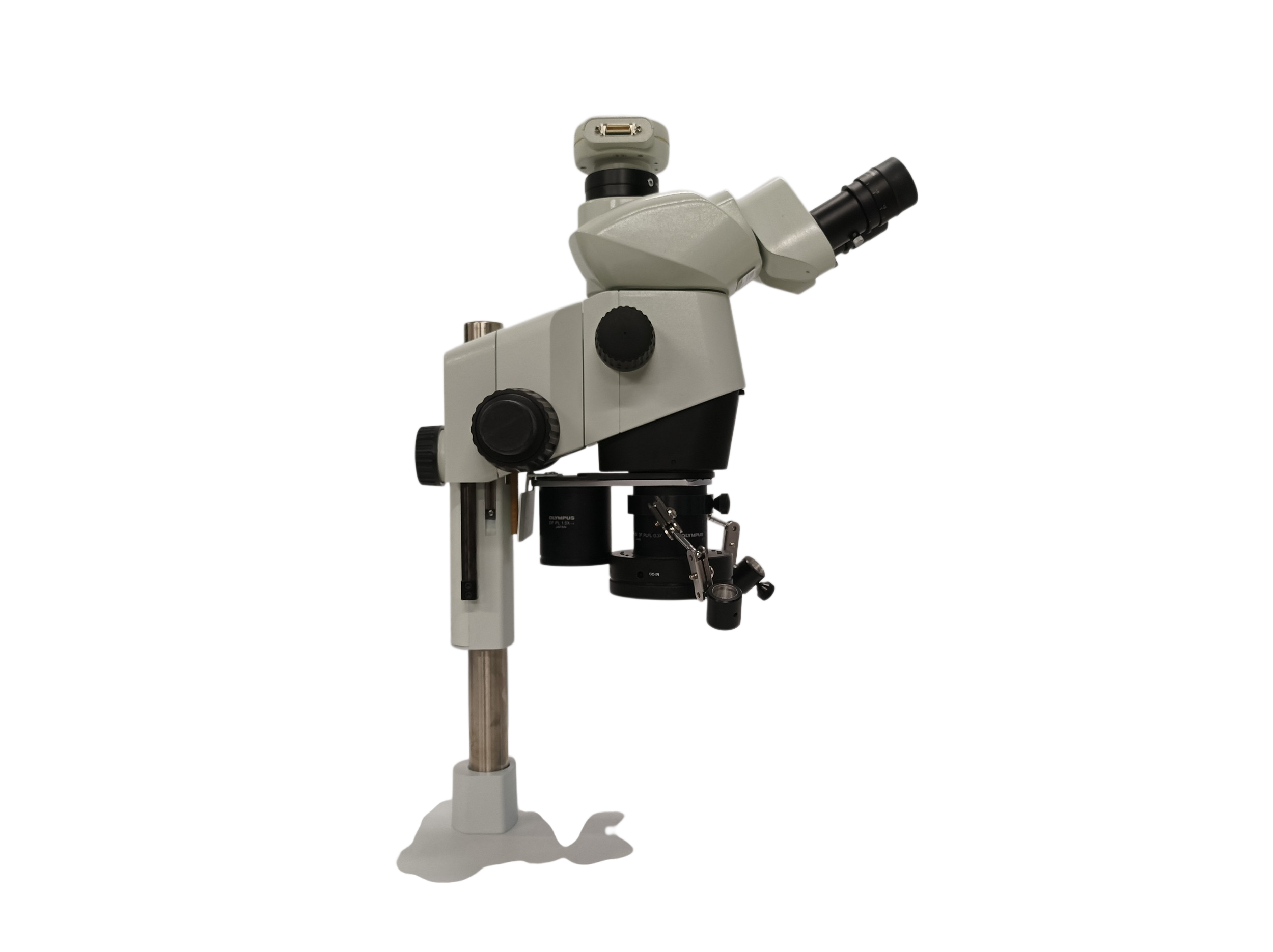 1000025723.png