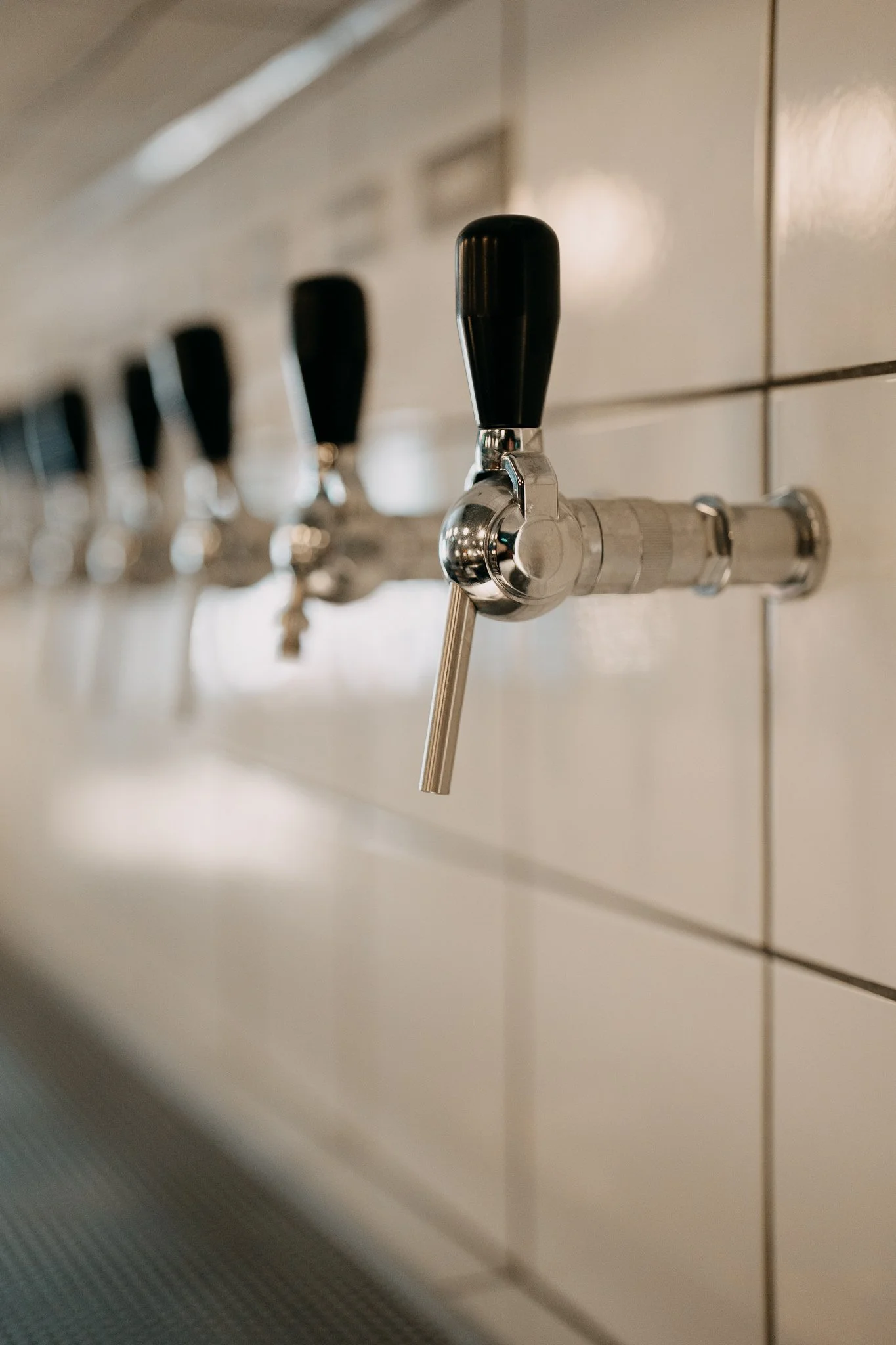 Stay in a bar Belfast