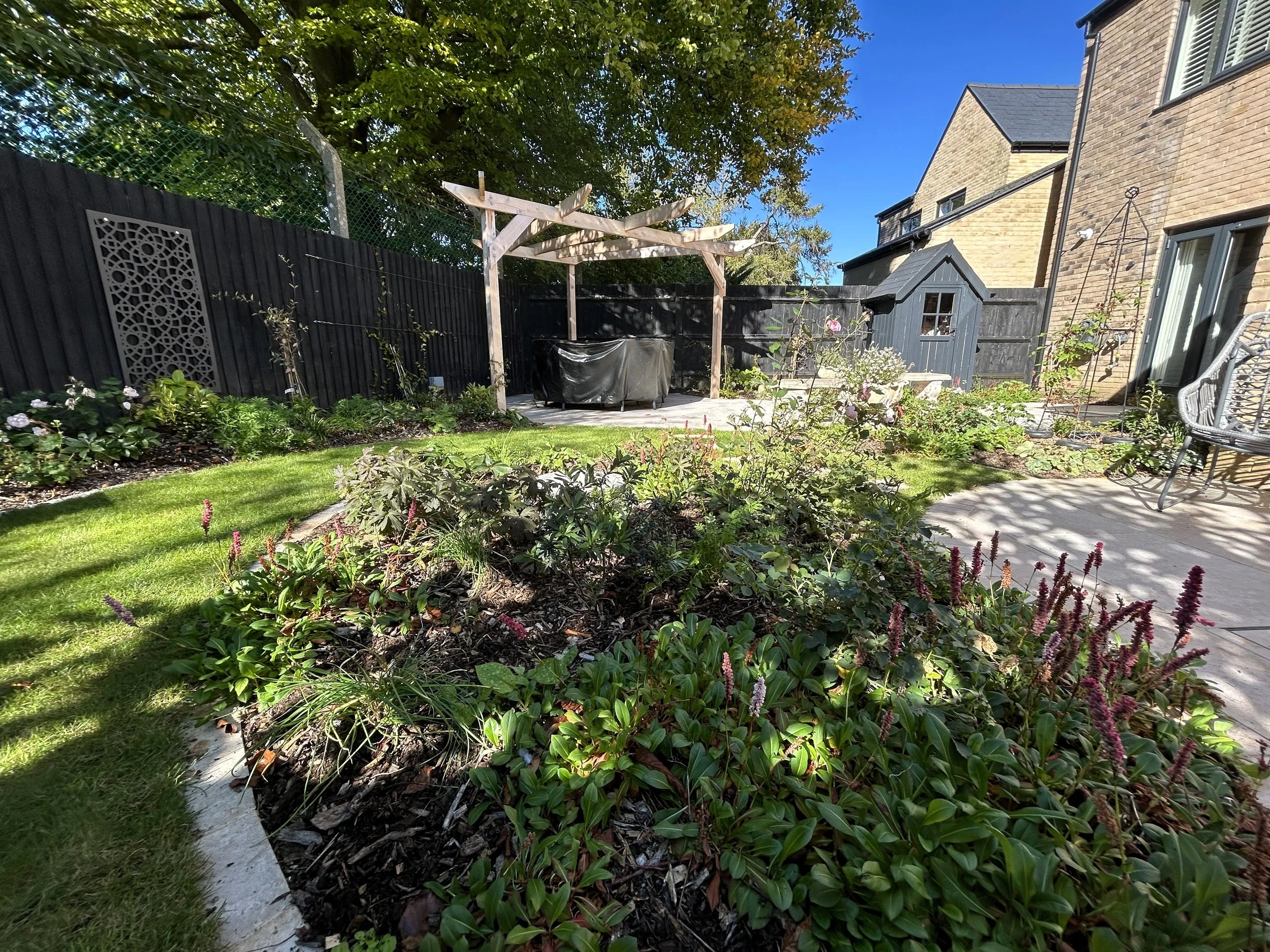 Gardening with planting and pergola