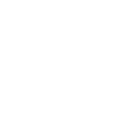 Datalogic.png