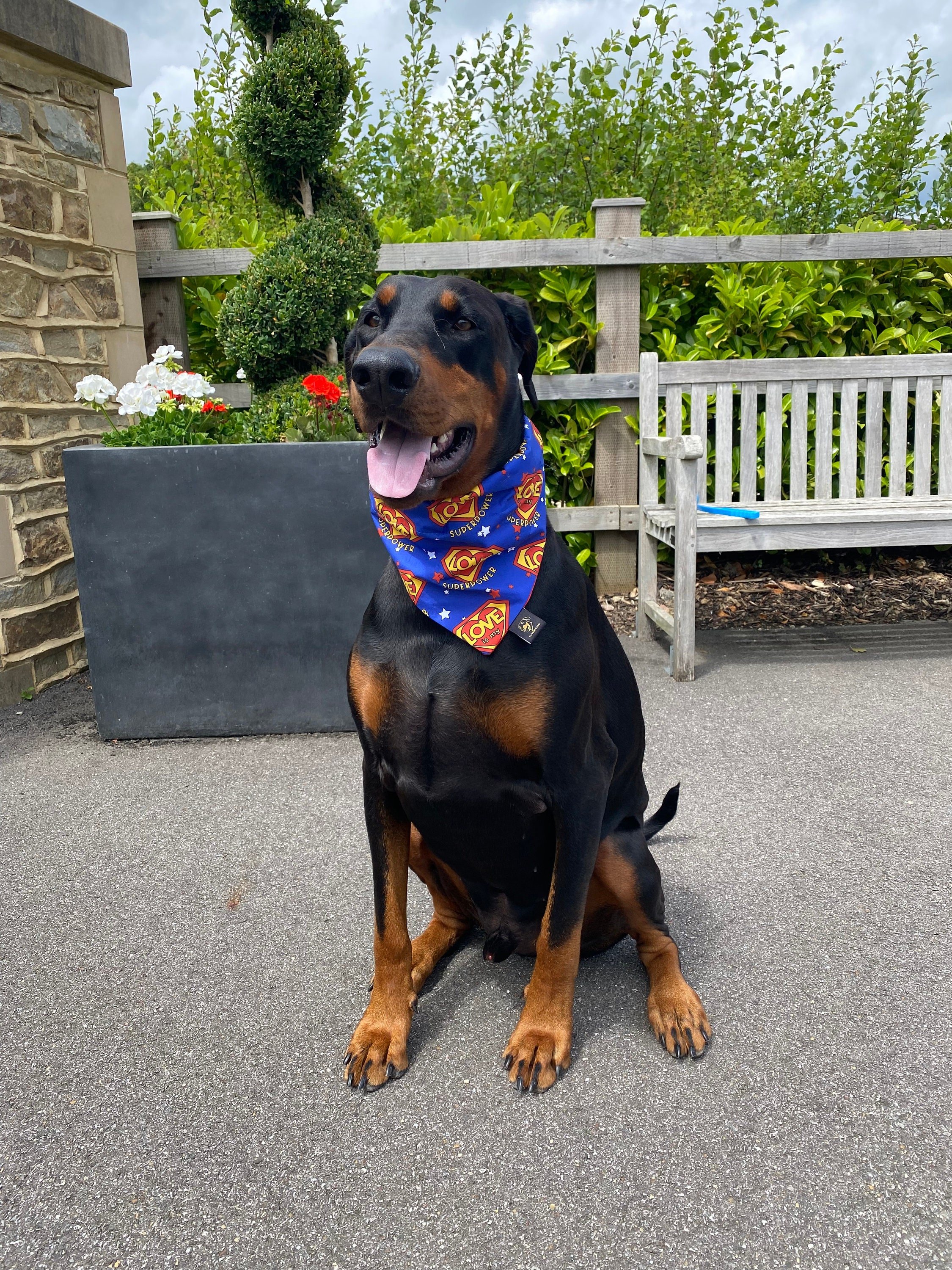 Love is my Superpower Blue Dog Bandana
