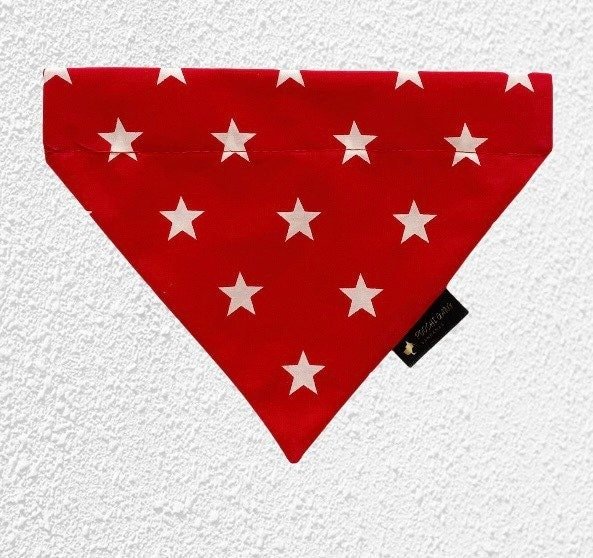 https://i.etsystatic.com/17846537/r/il/f73d38/3111658164/il_fullxfull.3111658164_ekzk.jpg