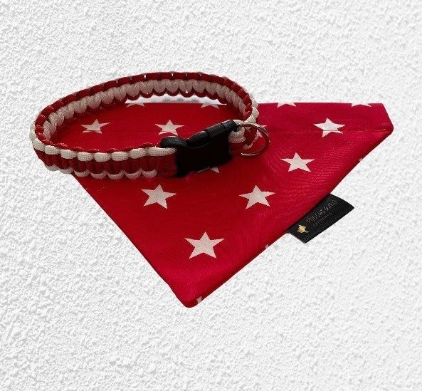 https://i.etsystatic.com/17846537/r/il/c7b9f2/3111659058/il_fullxfull.3111659058_eyp3.jpg
