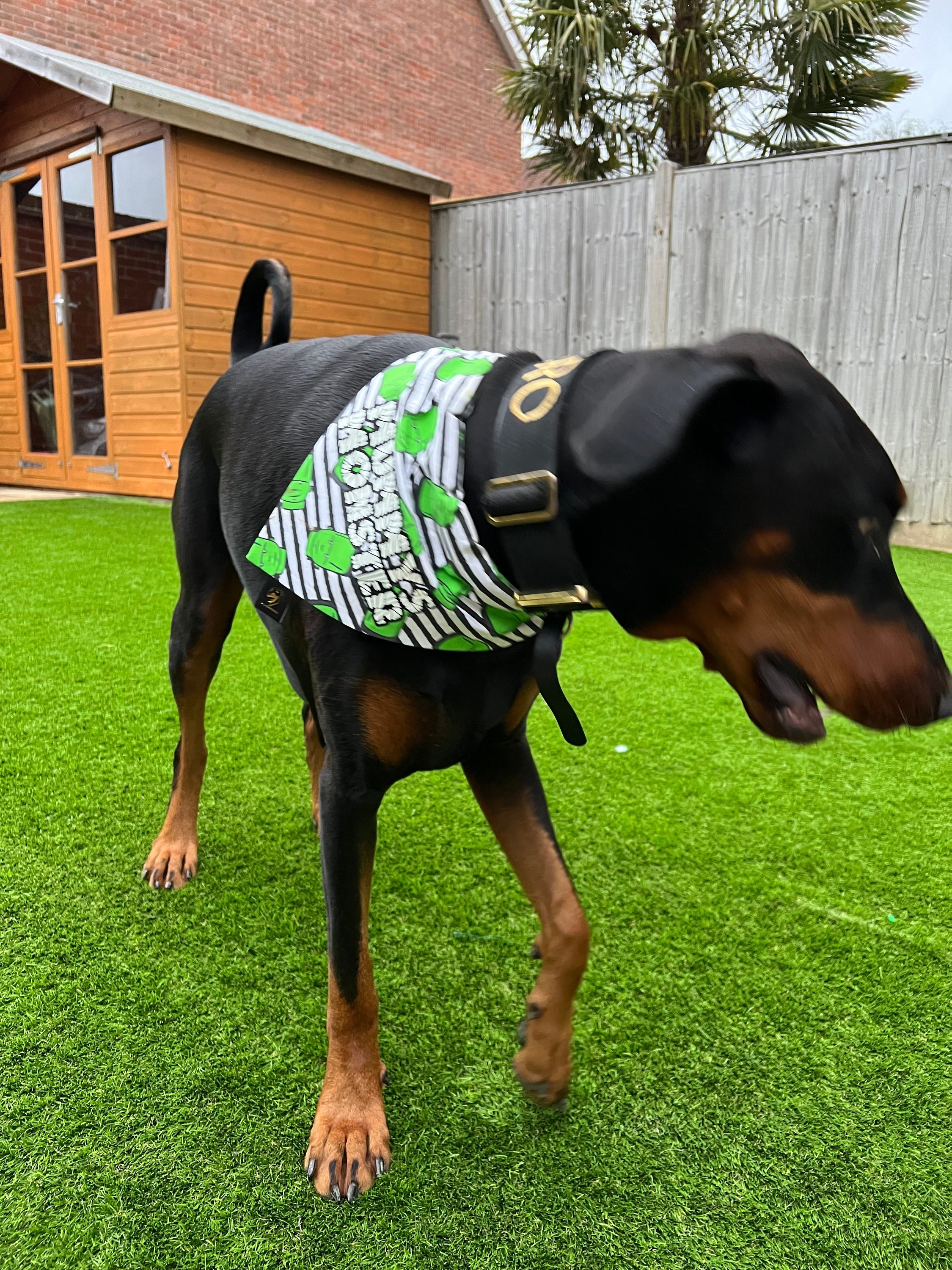Mummy’s Monster Dog Bandana - glow in the dark