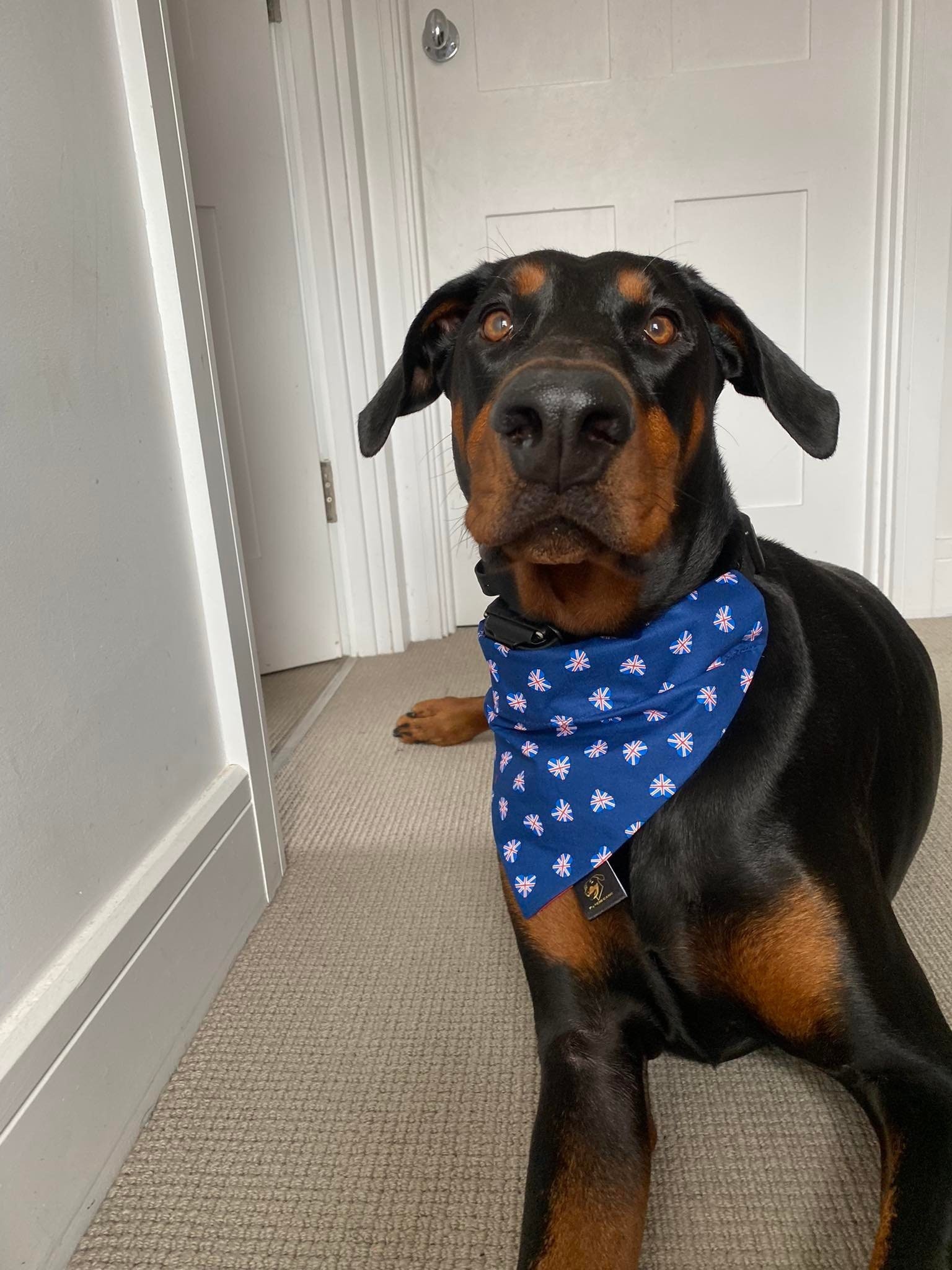 Union Jack Hearts Dog Bandana