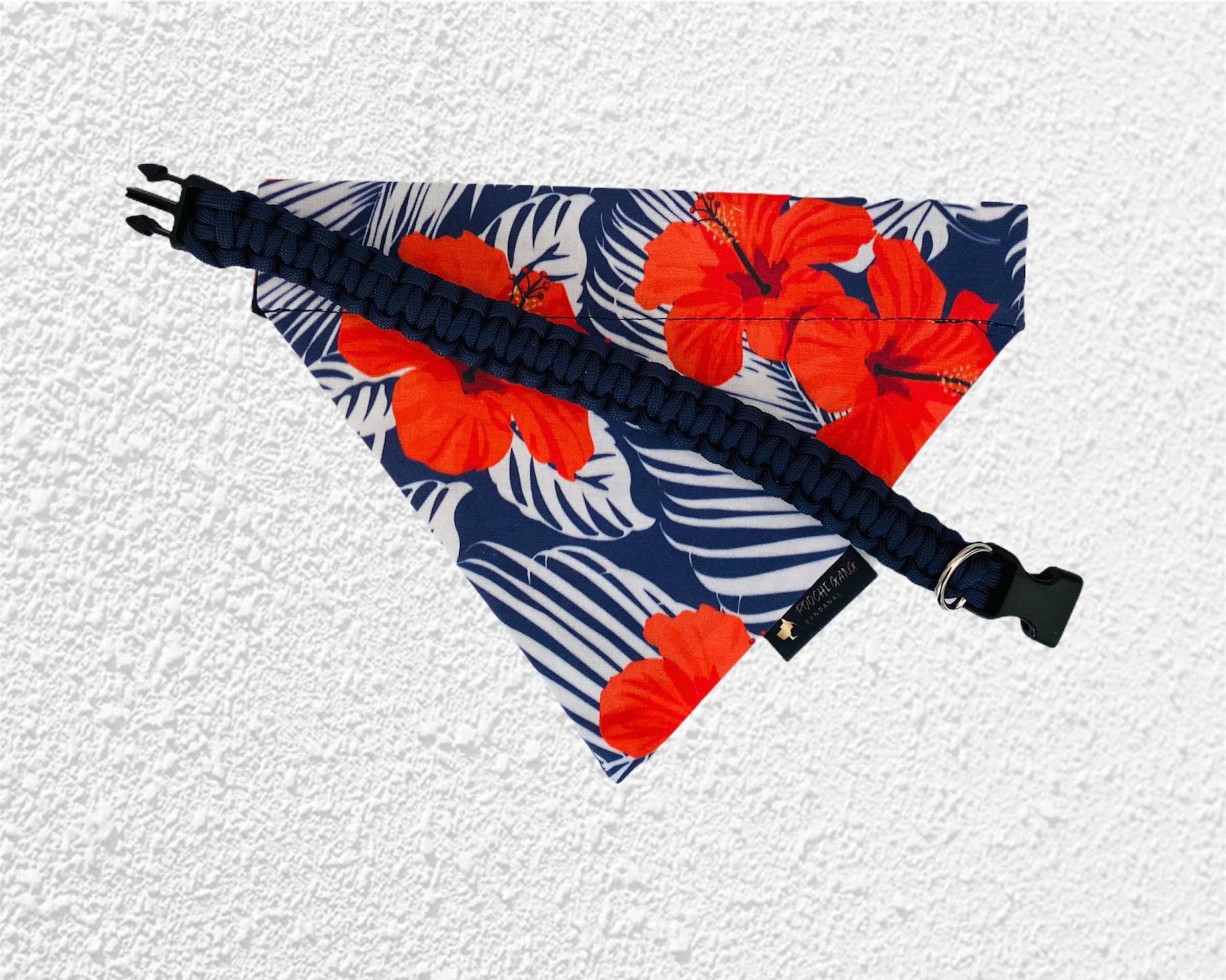 https://i.etsystatic.com/17846537/r/il/f6c7ad/3082602316/il_fullxfull.3082602316_pb80.jpg