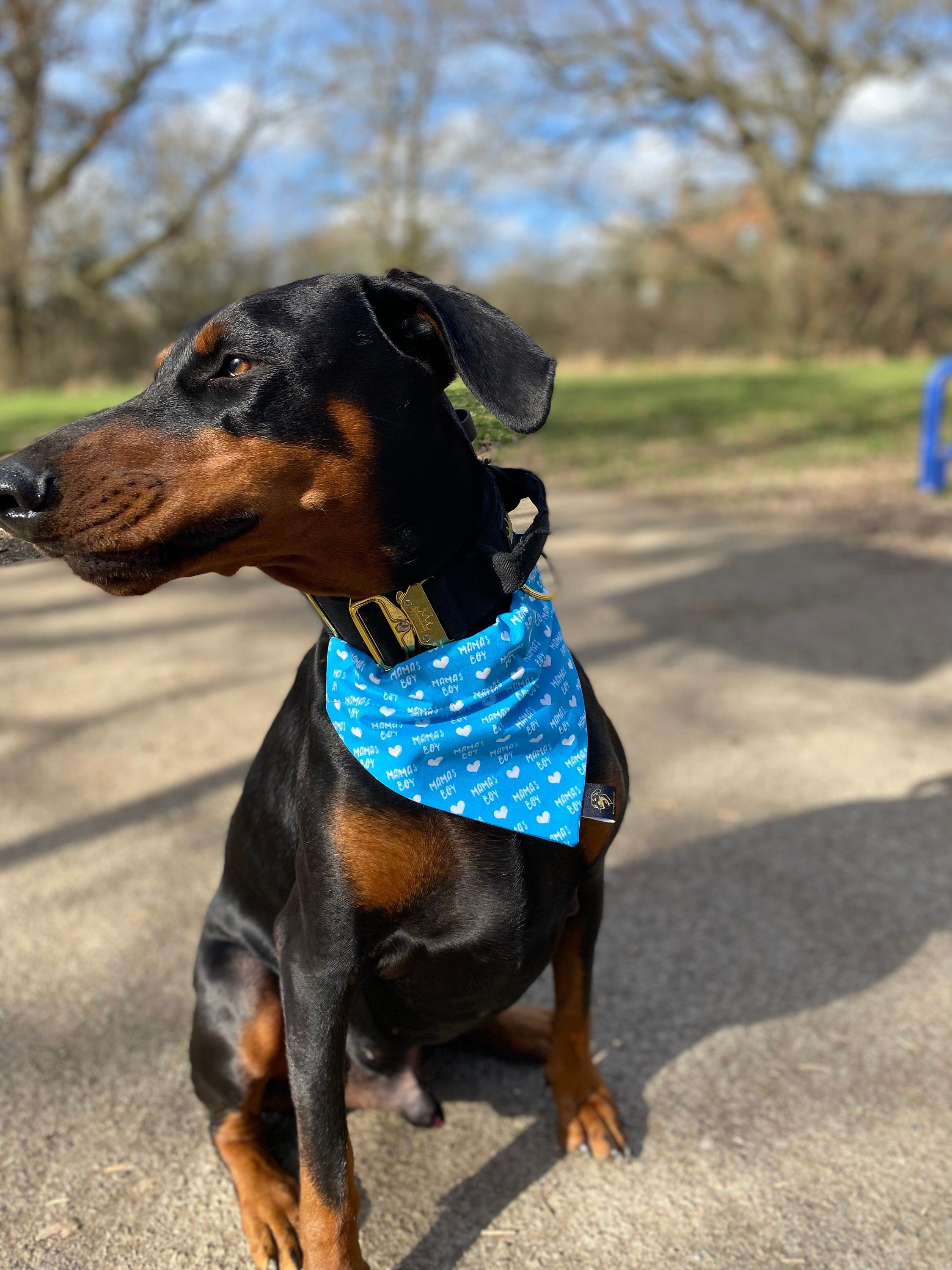 Mamas Boy Dog Bandana