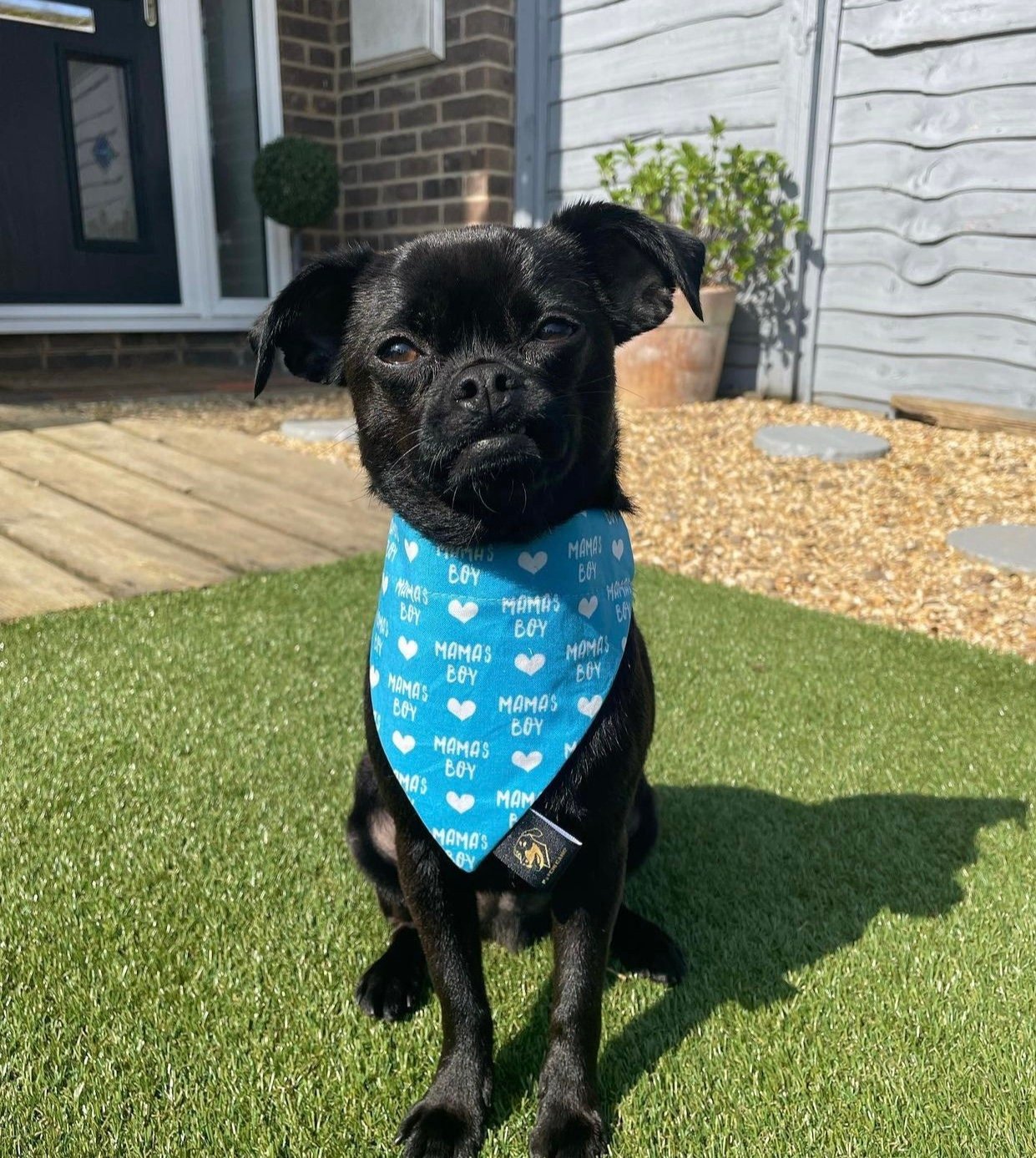 Mamas Boy Dog Bandana