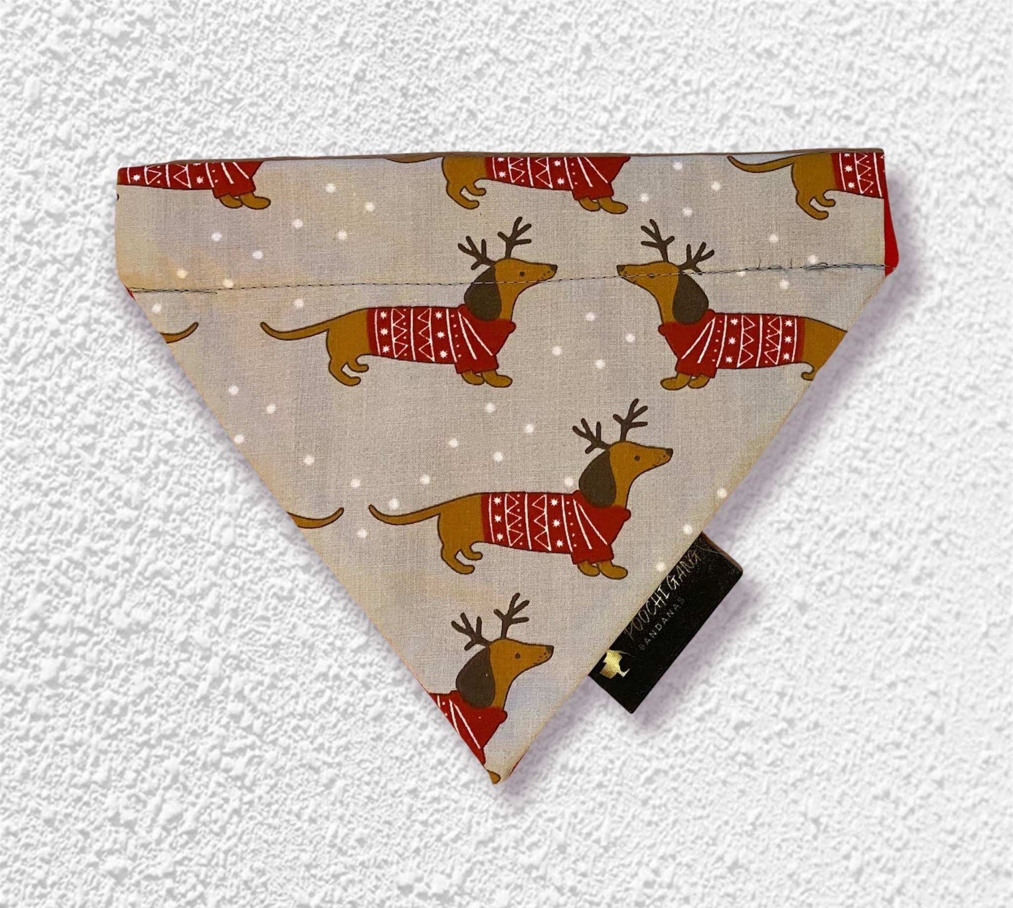 Dashing Daschund Dog Bandana