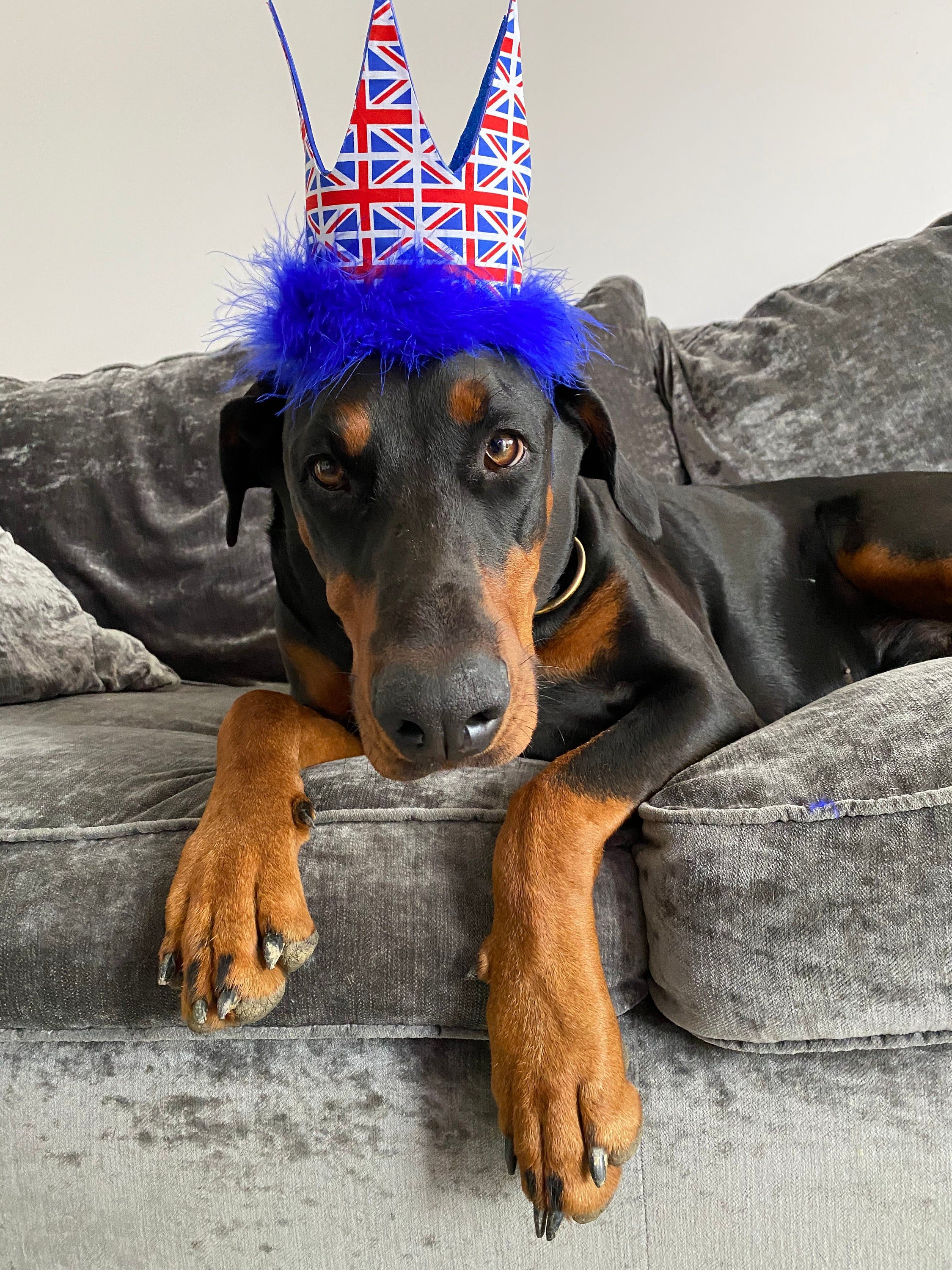 Union Jack Pet Crown