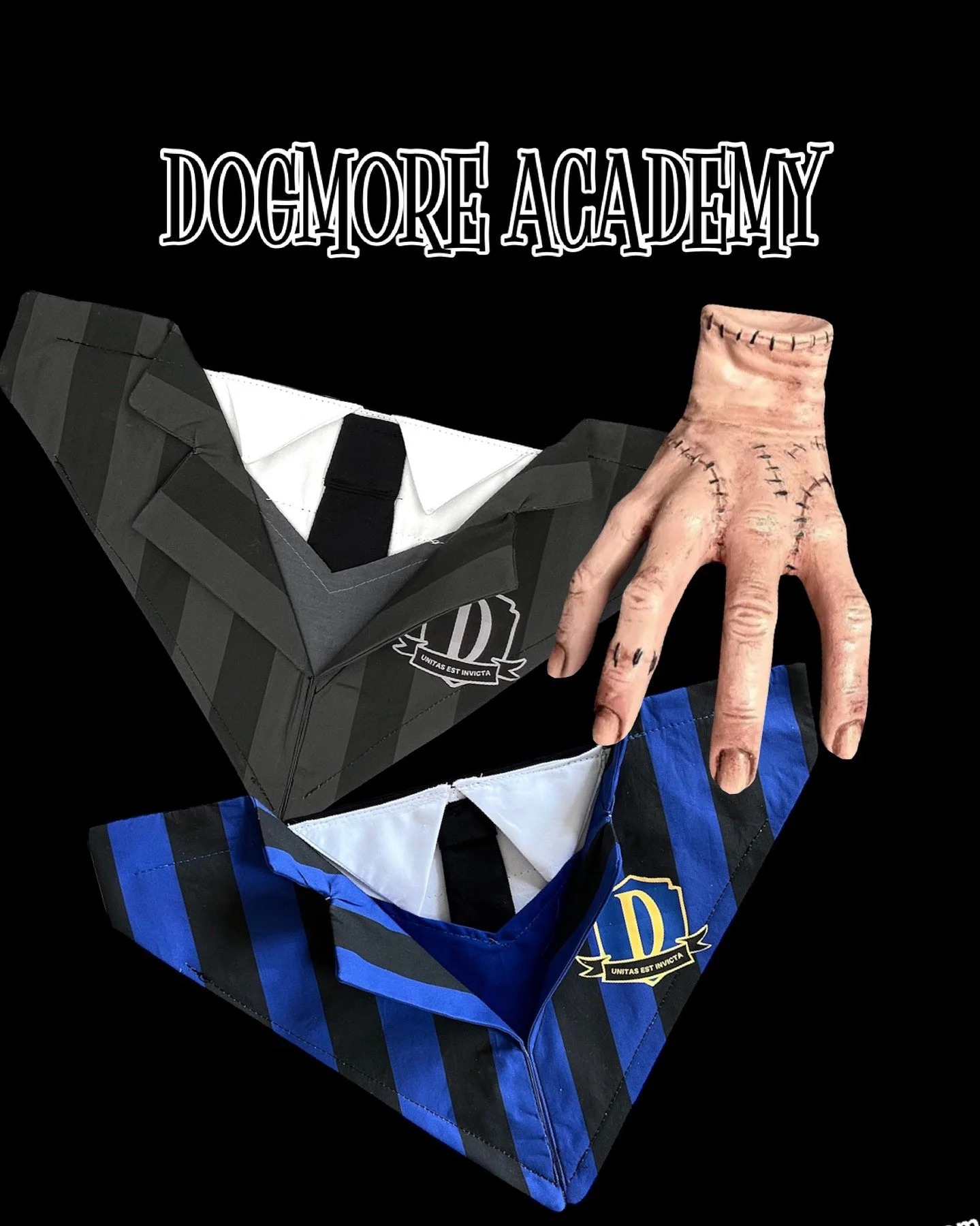 A33765EB-A93B-477E-AAFC-5EF364D77F99 2.JPG