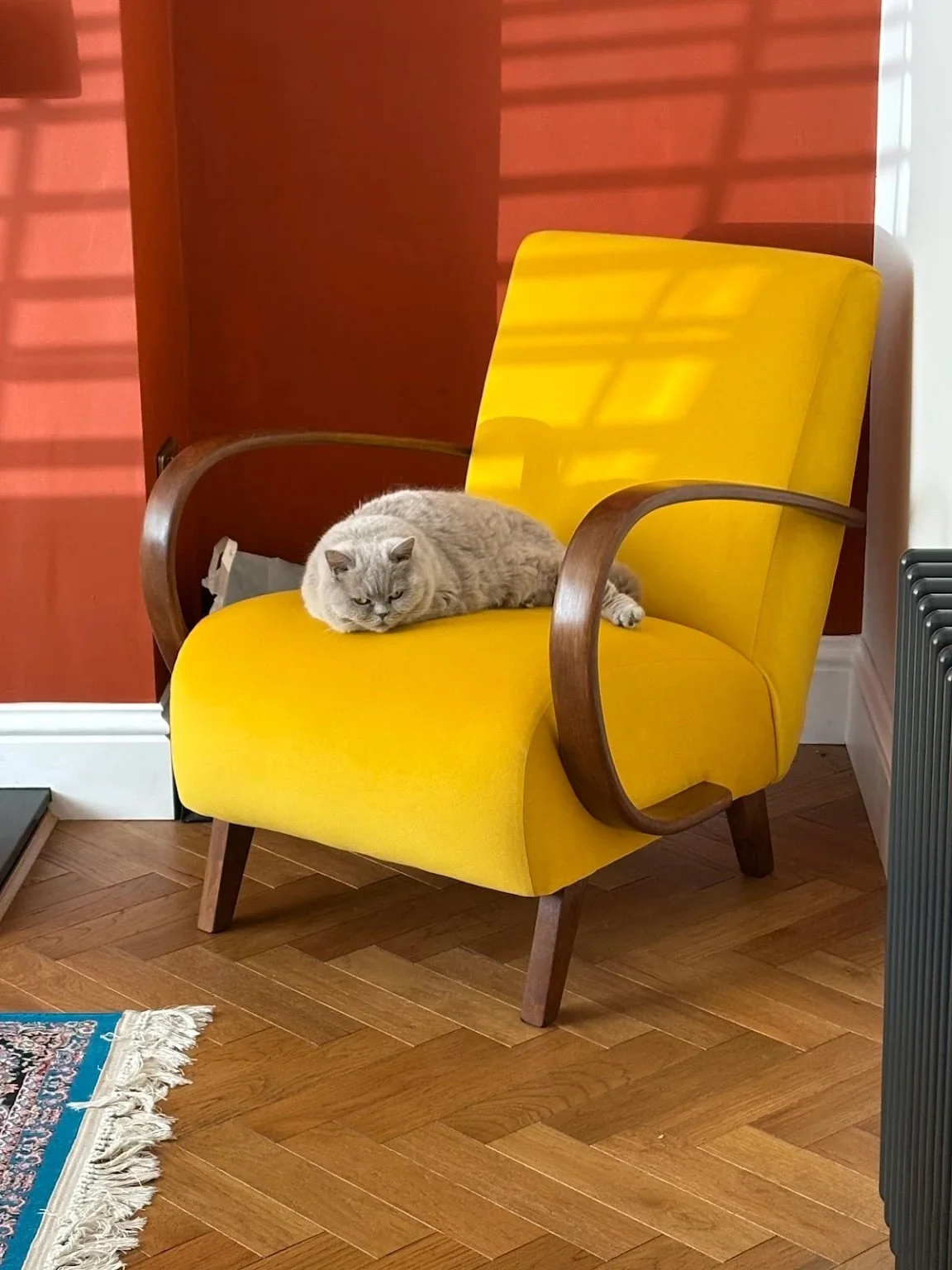 Grey tabby cat resting on a Halabala armchair upholstered in yellow velvet, with curved wooden armrests.