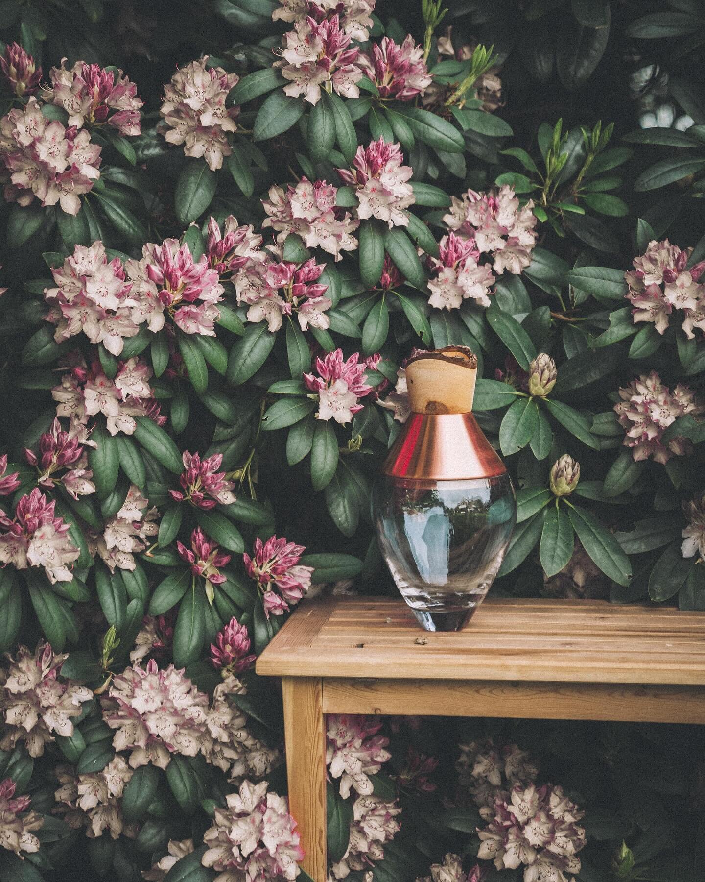 In joyful anticipation of the coming bloom , we wish you a wonderful long Easter weekend and a sunny start to April 
Feat. India Small Stacking Vessel 
.
.
.
#bloom #rhododendron #gardengoods #ethicaldesign #handmadebeauty #craftedwithcare #utopiaand