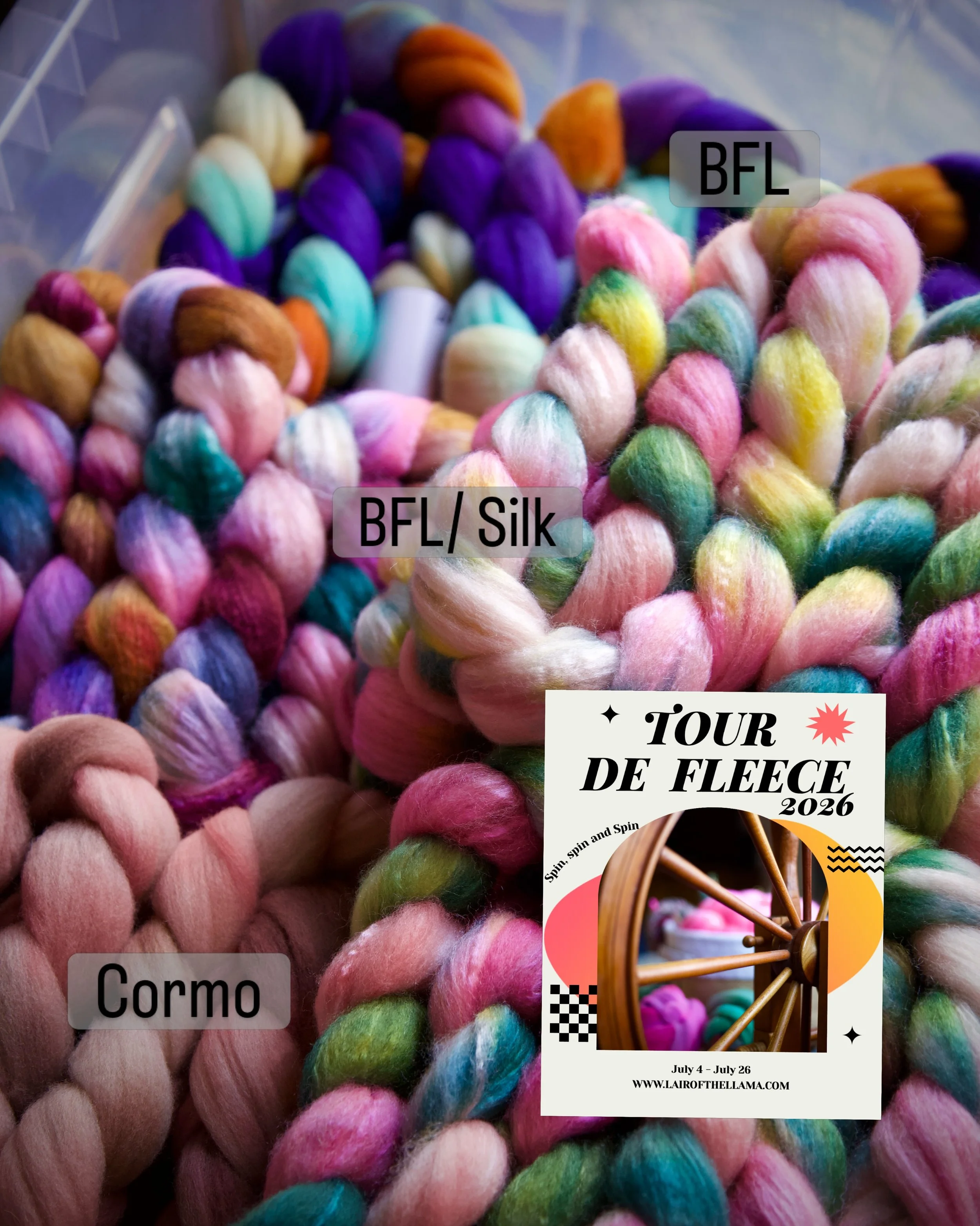 #tourdefleece 2026
✨Prep phase/dreaming phase 💕
New colors, new fibers to try and lots of spinning energy! 
&bull;
&bull;
#lairofthellama #tourdefleece #handspinning #wemakeyarn