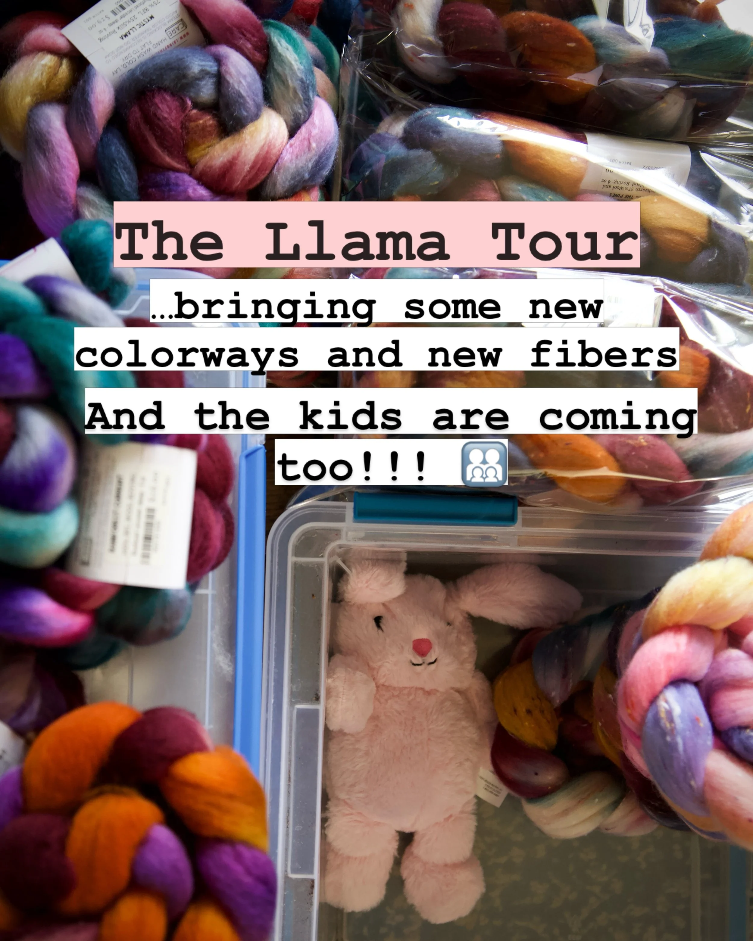 📸 New colorways | New blends | #tourdefleece 🧑&zwj;🧑&zwj;🧒&zwj;🧒 
&bull;
&bull;
🚌
@freshcoastfiberfest 
@spunannarbor 
🍃
#lairofthellama #wemakeyarn #handspinnersofinstagram #handspunyarn
