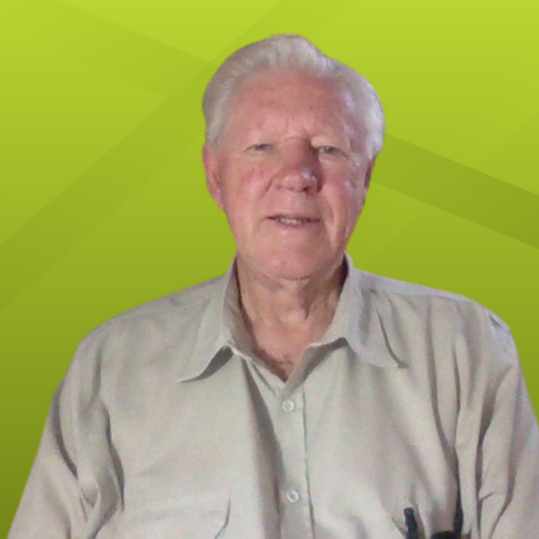 Nicolaas Pretorius, Chartered Accountant