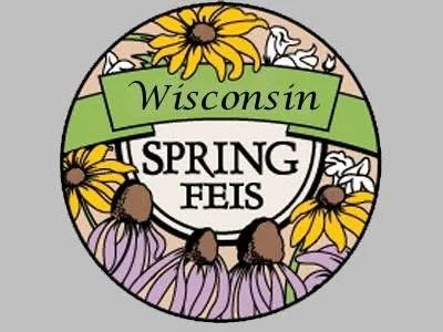 Wisconsin Spring Feis