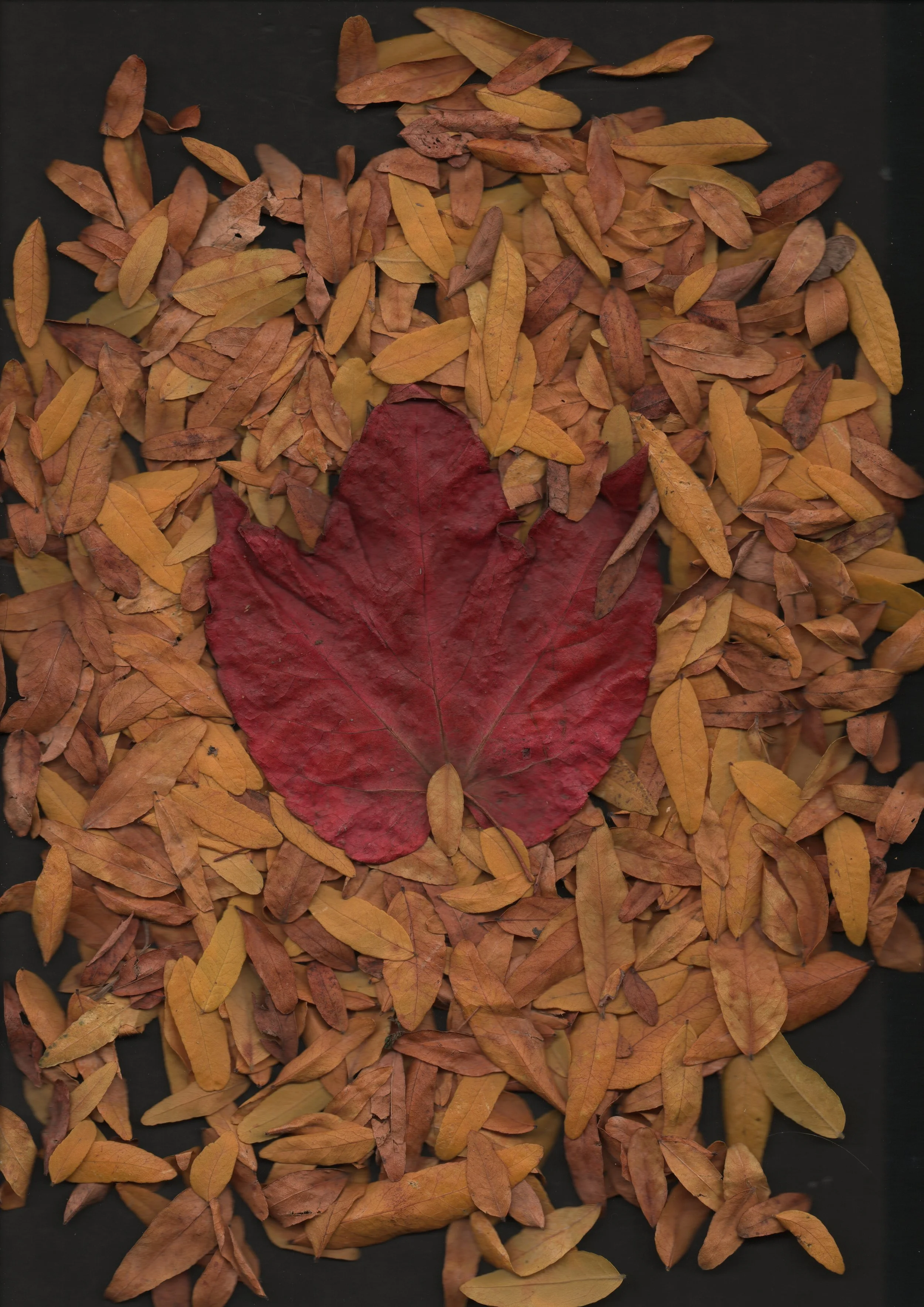 20251018-0011_001 2.JPG