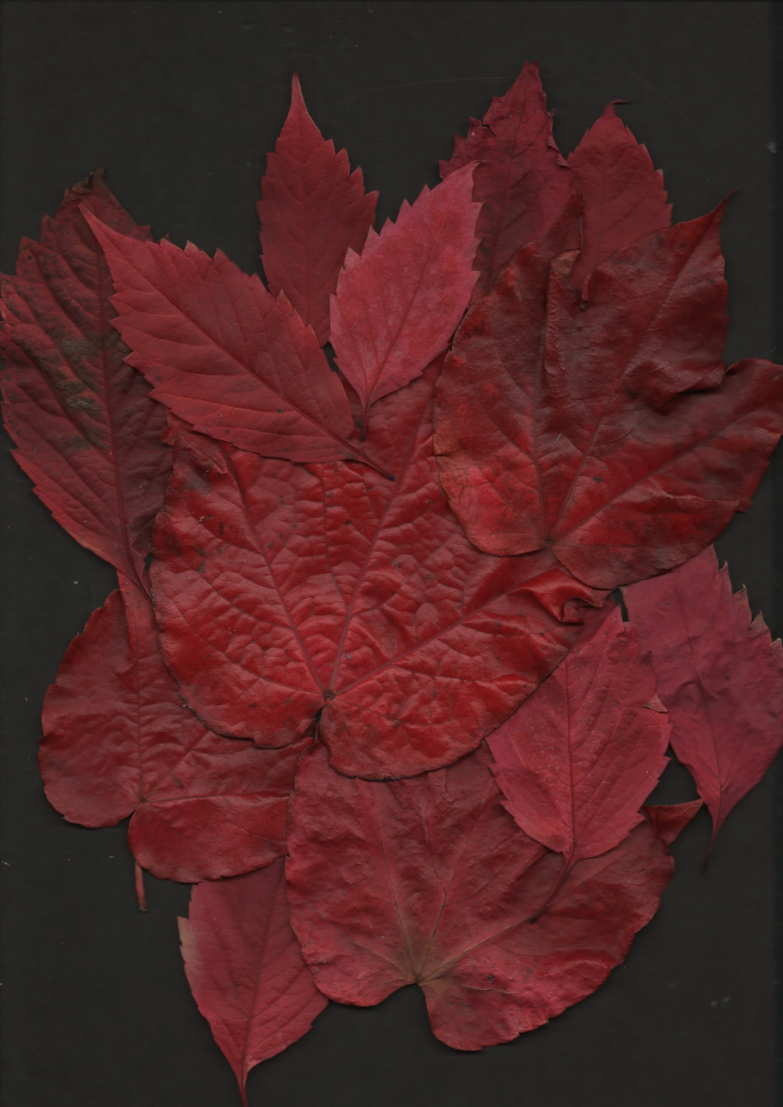 20251018-0007_001 2.JPG